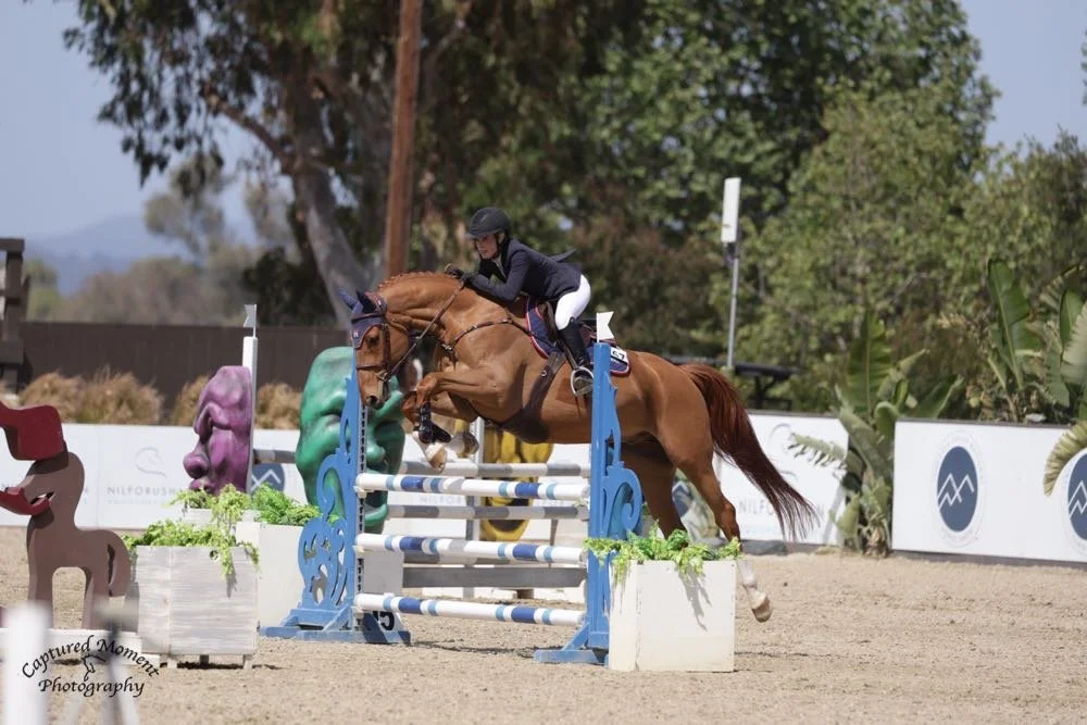 A female equestrian riding a horse over a show jumping obstacle in an outdoor arena.