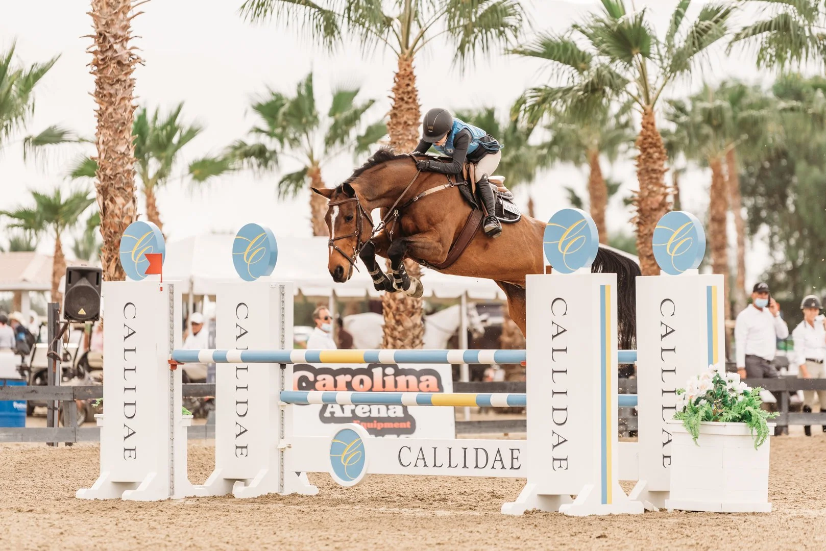 Horse and rider jumping over a colorful obstacle in an equestrian arena with palm trees and spectators in the background in Thermal, California