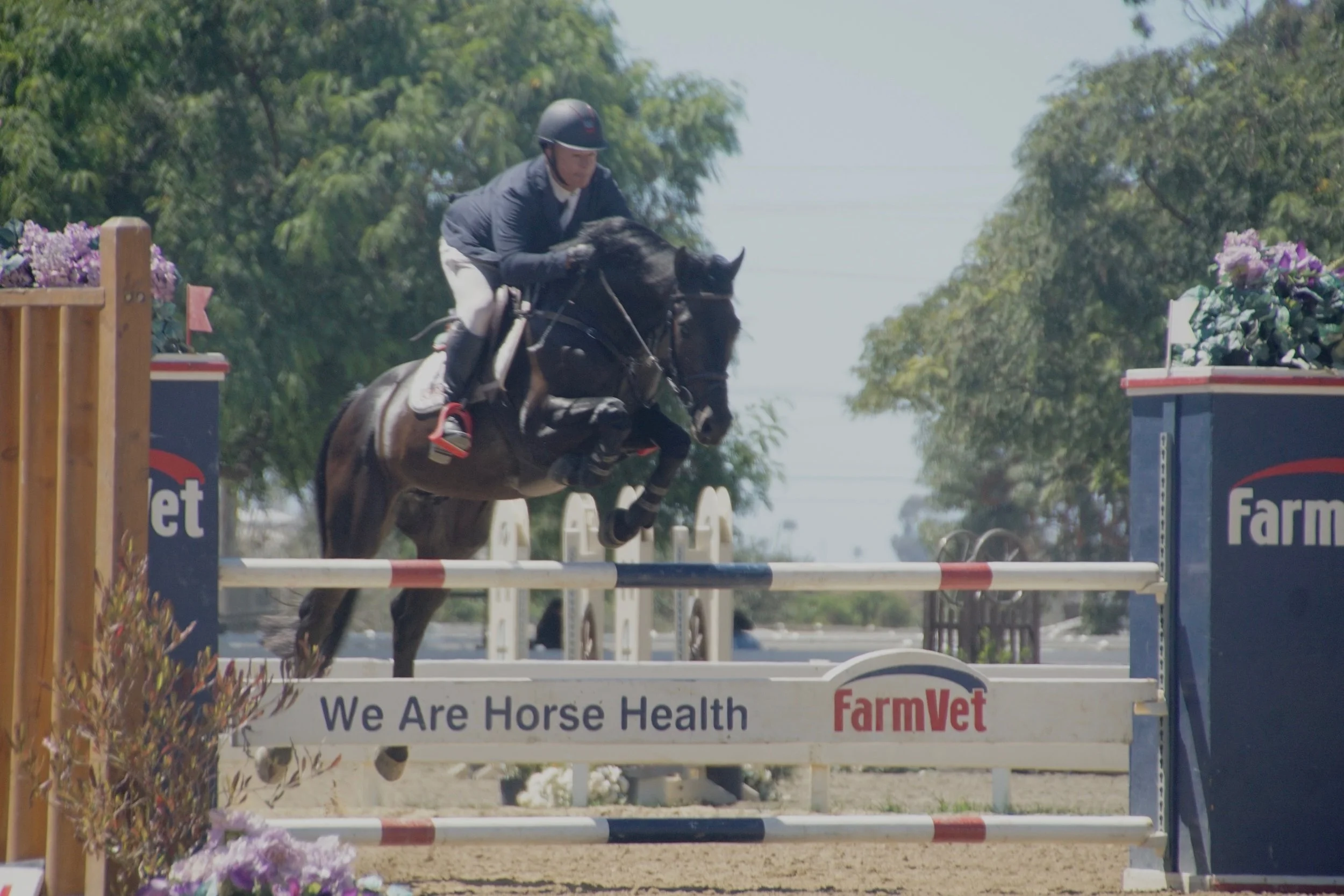 A rider wearing a helmet and black riding jacket jumping a horse over an obstacle during an equestrian event, with trees and competition signage in the background.