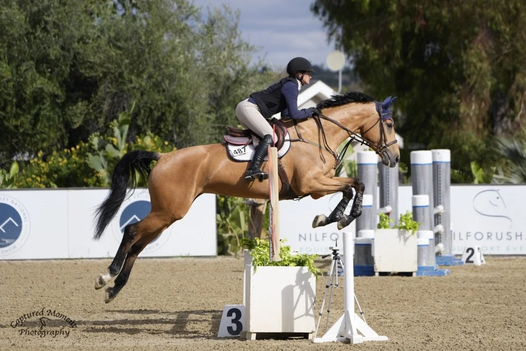 Equestrian rider and horse jumping over obstacle in a competition arena.