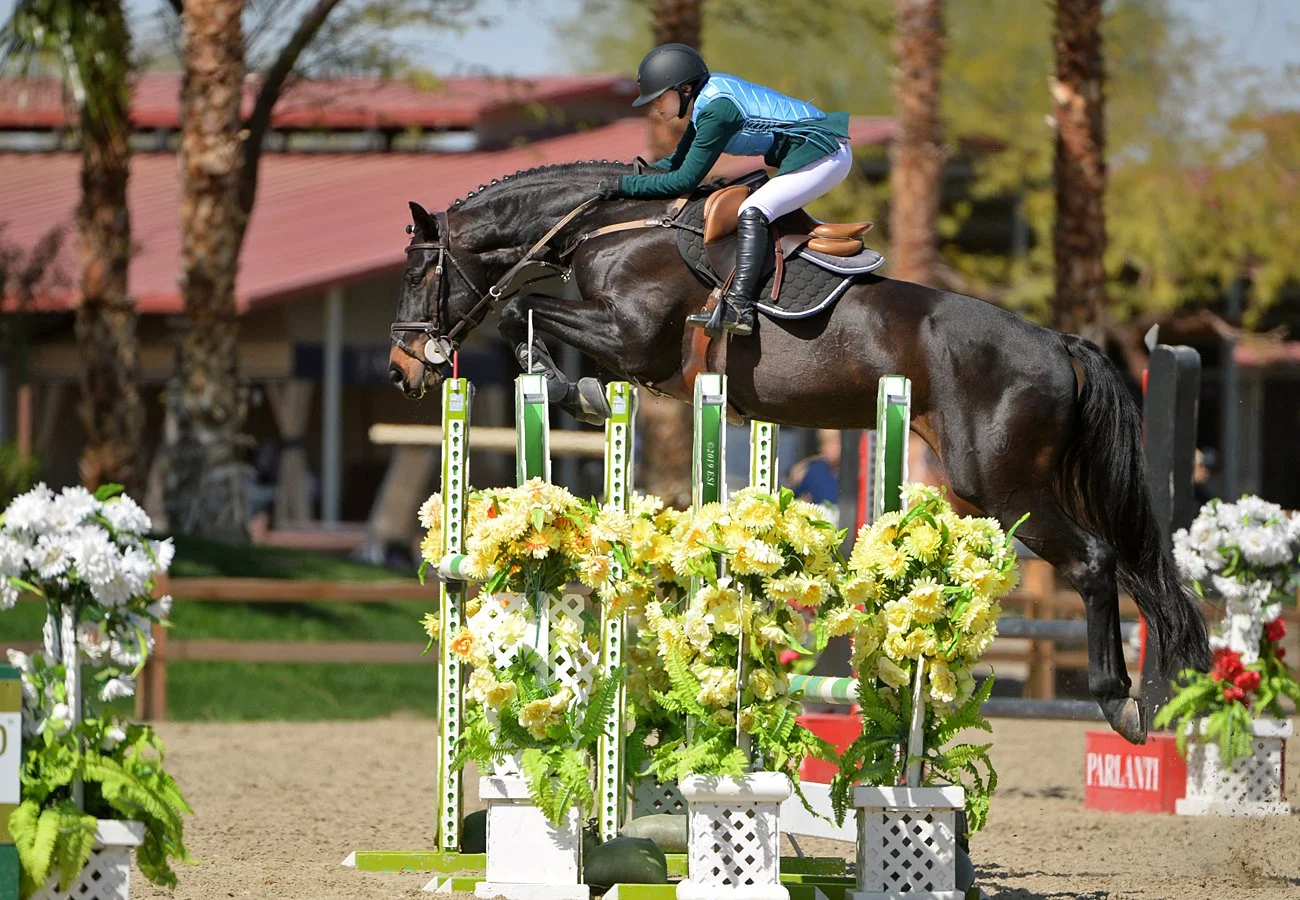 A jockey riding a dark brown horse jumps over a flower-filled obstacle during a show jumping competition outdoors.