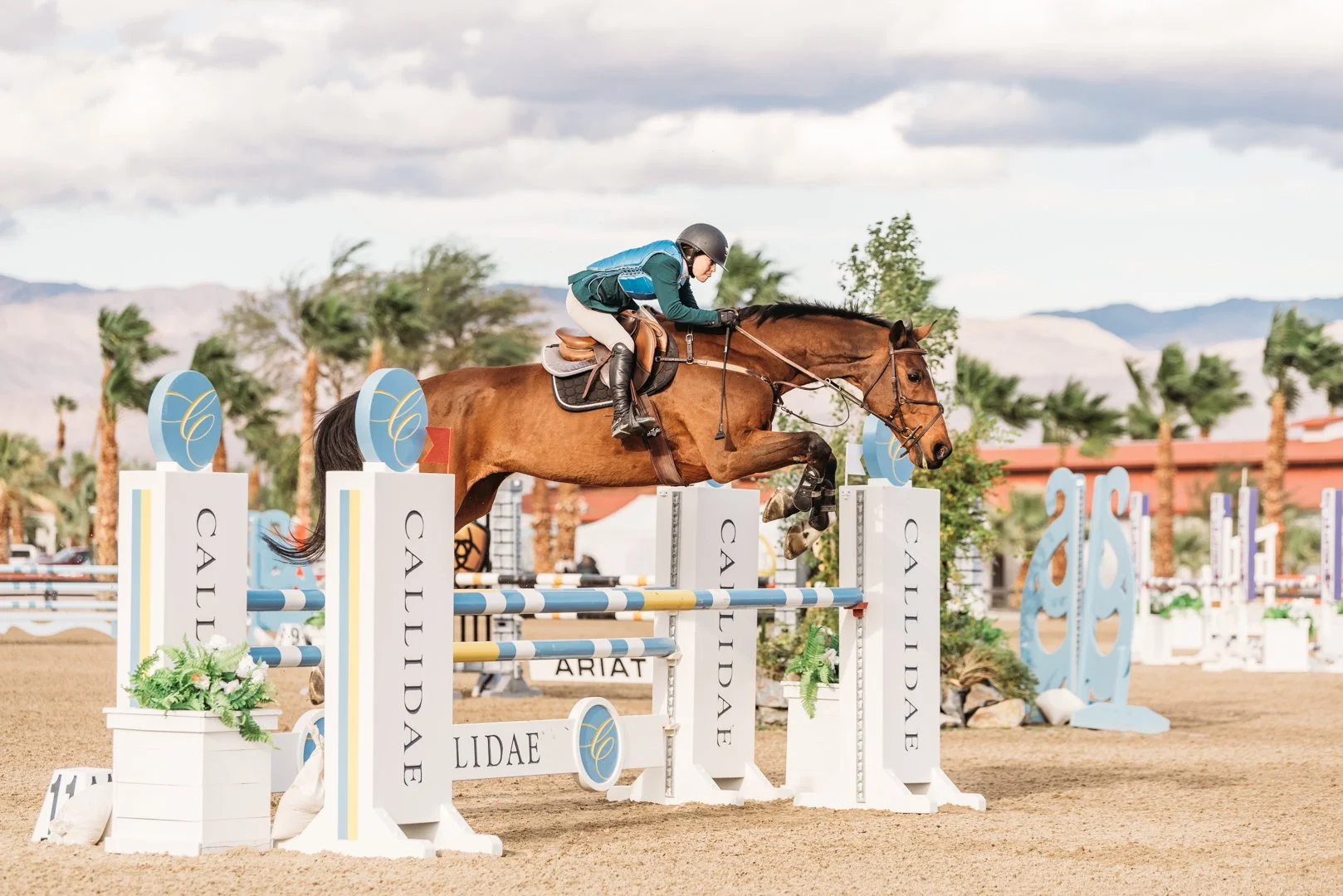 A horse and rider jumping over a hurdle in an outdoor equestrian event with palm trees and mountains in the background.