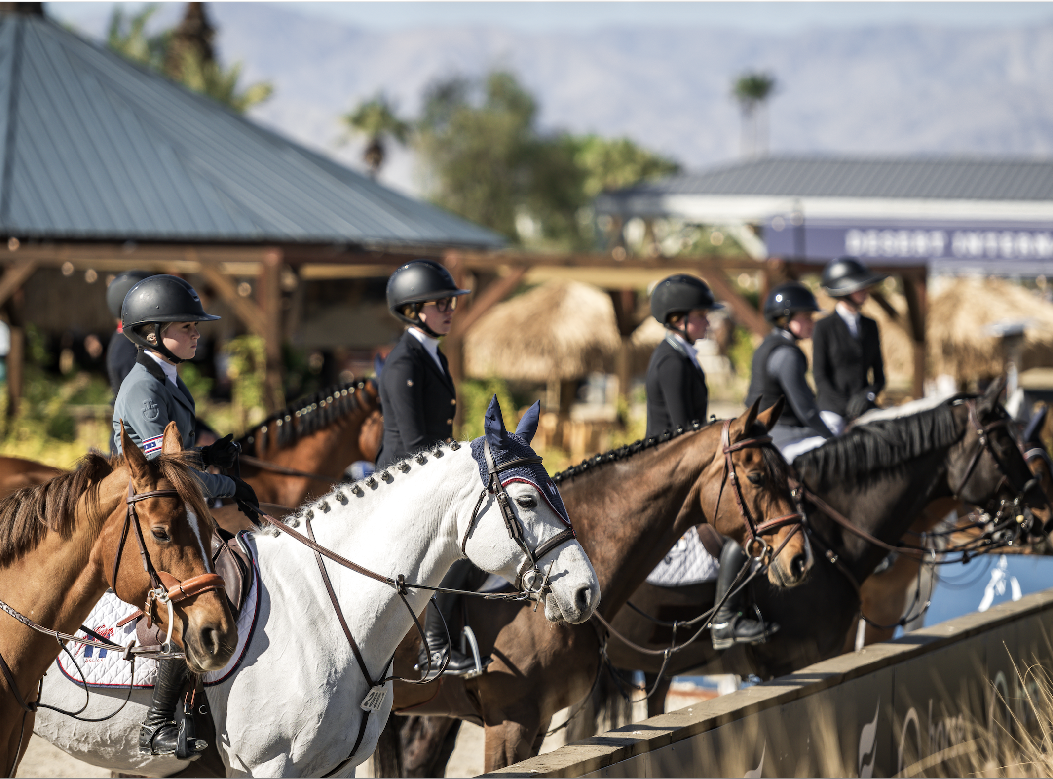 A group of riders in black helmets and formal attire sitting on horses with white, brown, and black coats, participating in an equestrian event outdoors. Buildings and trees are visible in the background.