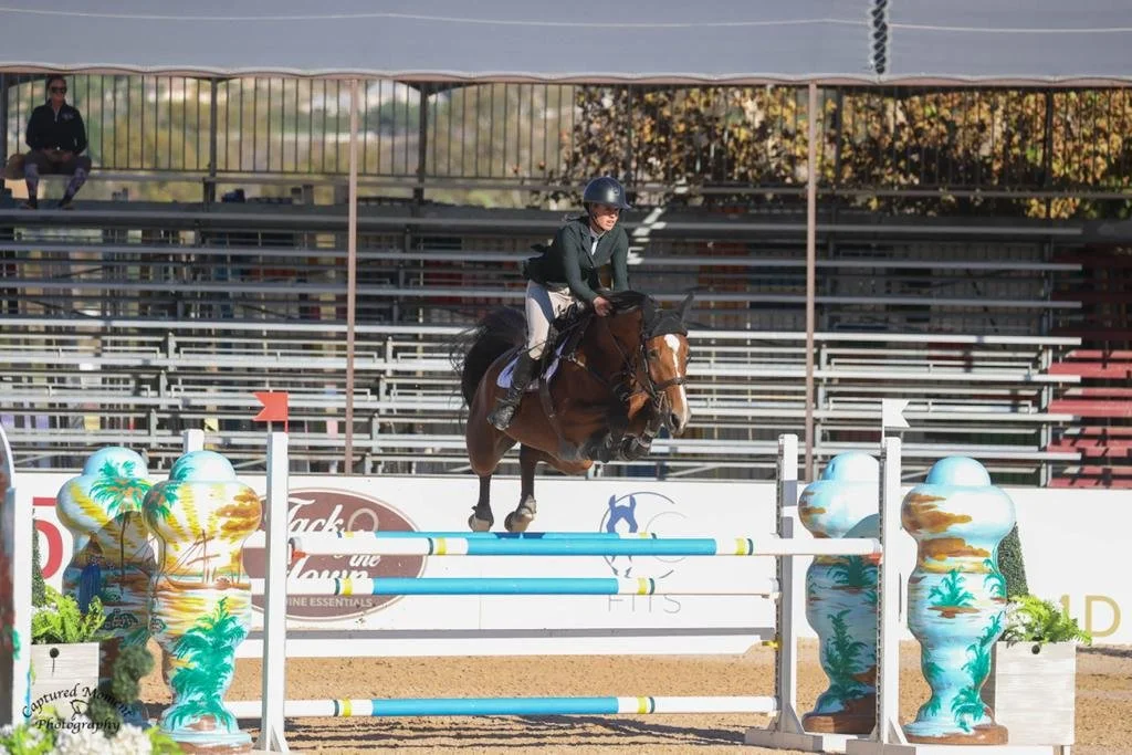 A person in riding attire jumping on a horse over an obstacle at an equestrian event, with empty bleachers and trees in the background.