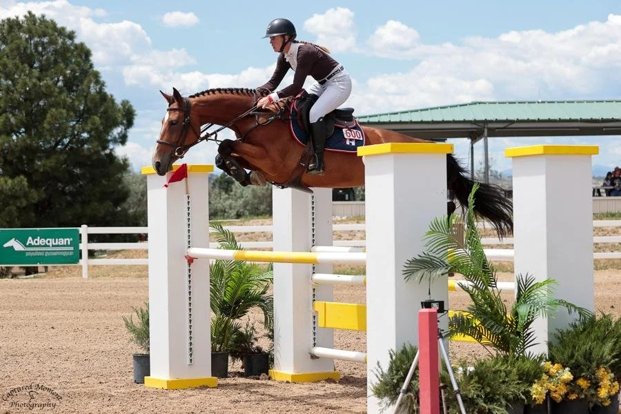 A rider wearing a helmet and riding gear guides a horse over a show jumping obstacle in an outdoor arena, with trees and a building in the background.