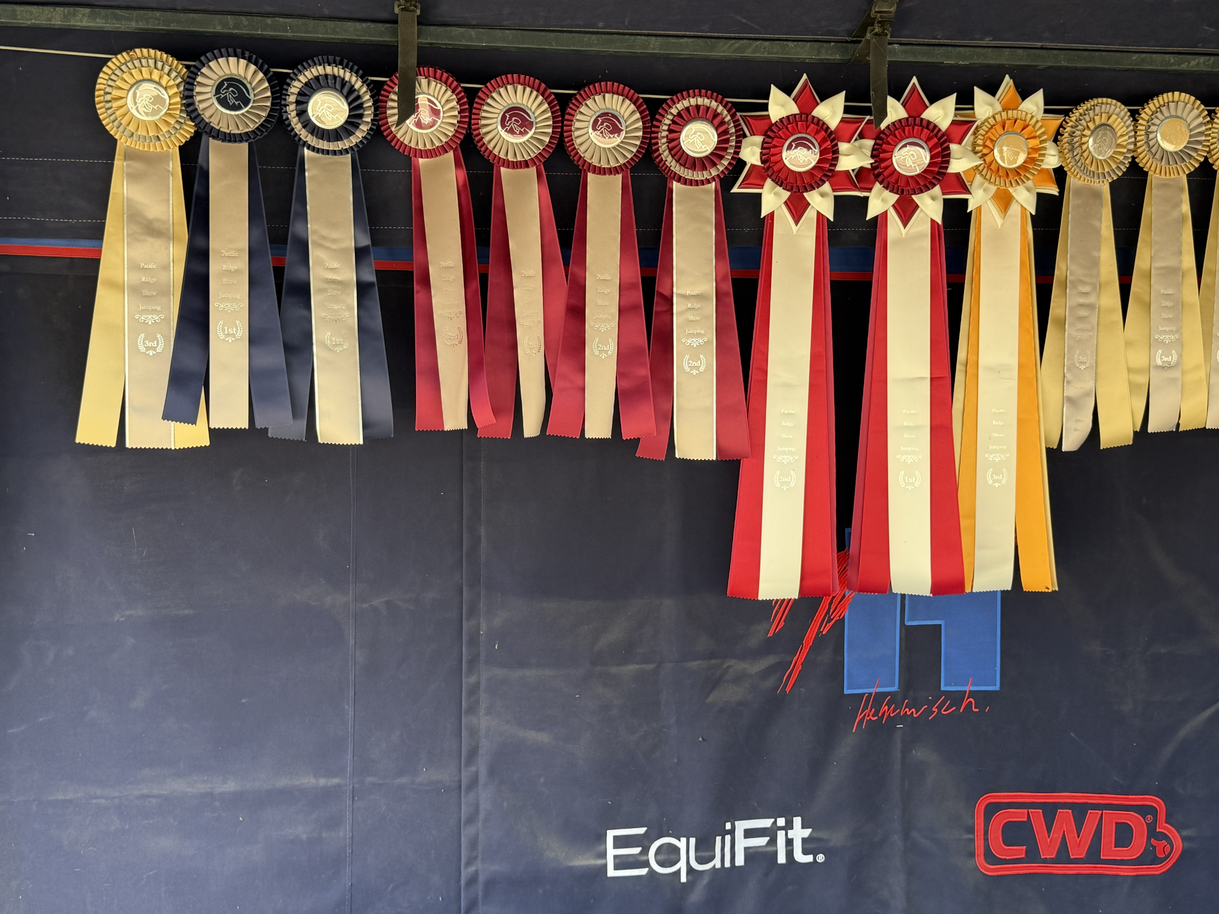 A display of award ribbons in gold, black, red, and orange, hung on a black backdrop, with a sign that says "EquiFit" and a red logo reading "CWD".