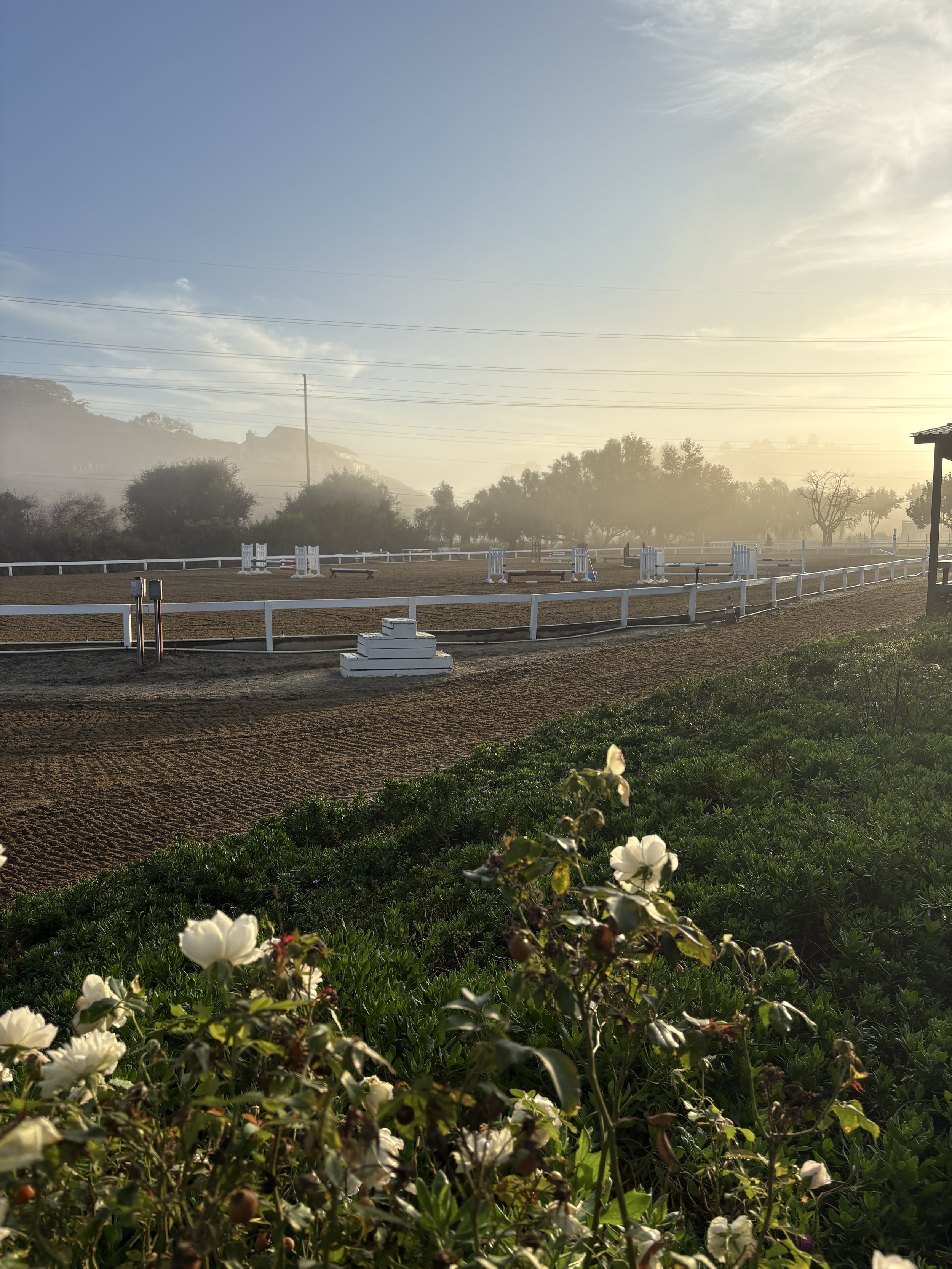 Open outdoor horse riding arena with white fenced perimeter, jumps, and trees in the background under a partly cloudy sky with sunlight.
