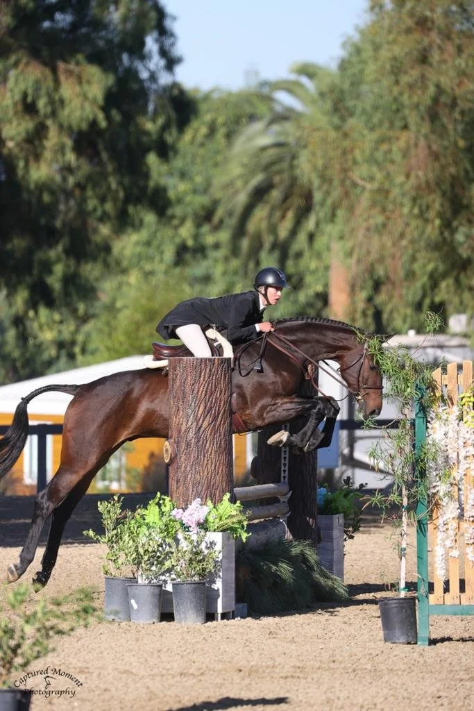A person wearing a black riding helmet, black jacket, and white riding pants riding a brown horse during an equestrian event, jumping over a wooden obstacle decorated with plants and flowers on a sunny day.