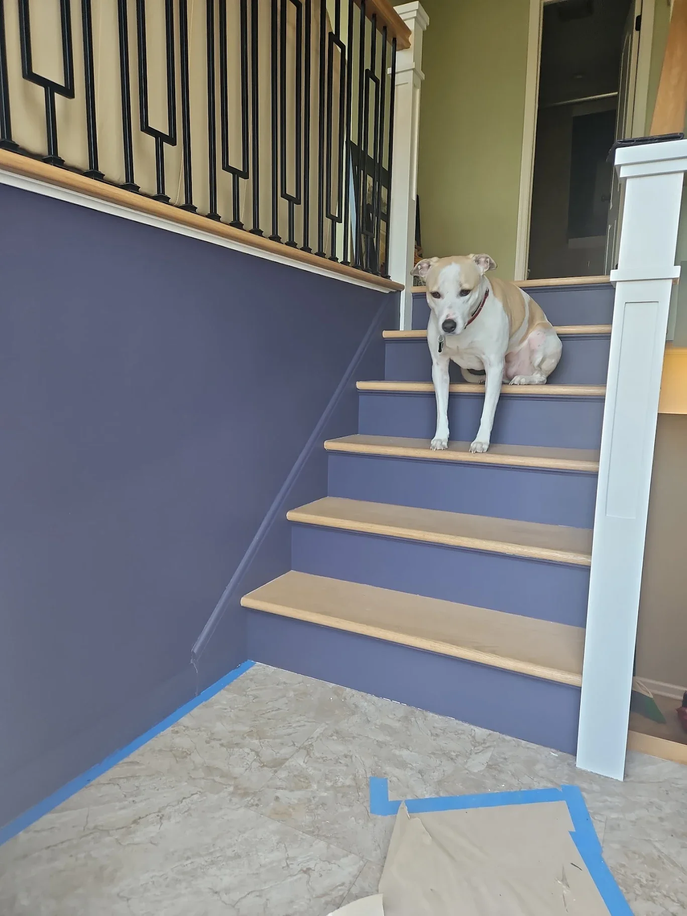 Everything new! She chose light wood treads, and feeling quirky, decided to incorporate her favorite color into the entrance. Going from a warm mid-tone green to a complex violet-gray, she chose Benjamin Moore's Amethyst Shadow for the walls, trim, a
