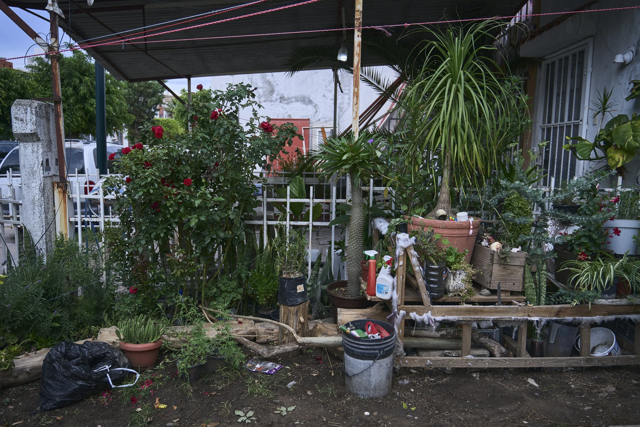 BSG_26-06-08_0014.jpg