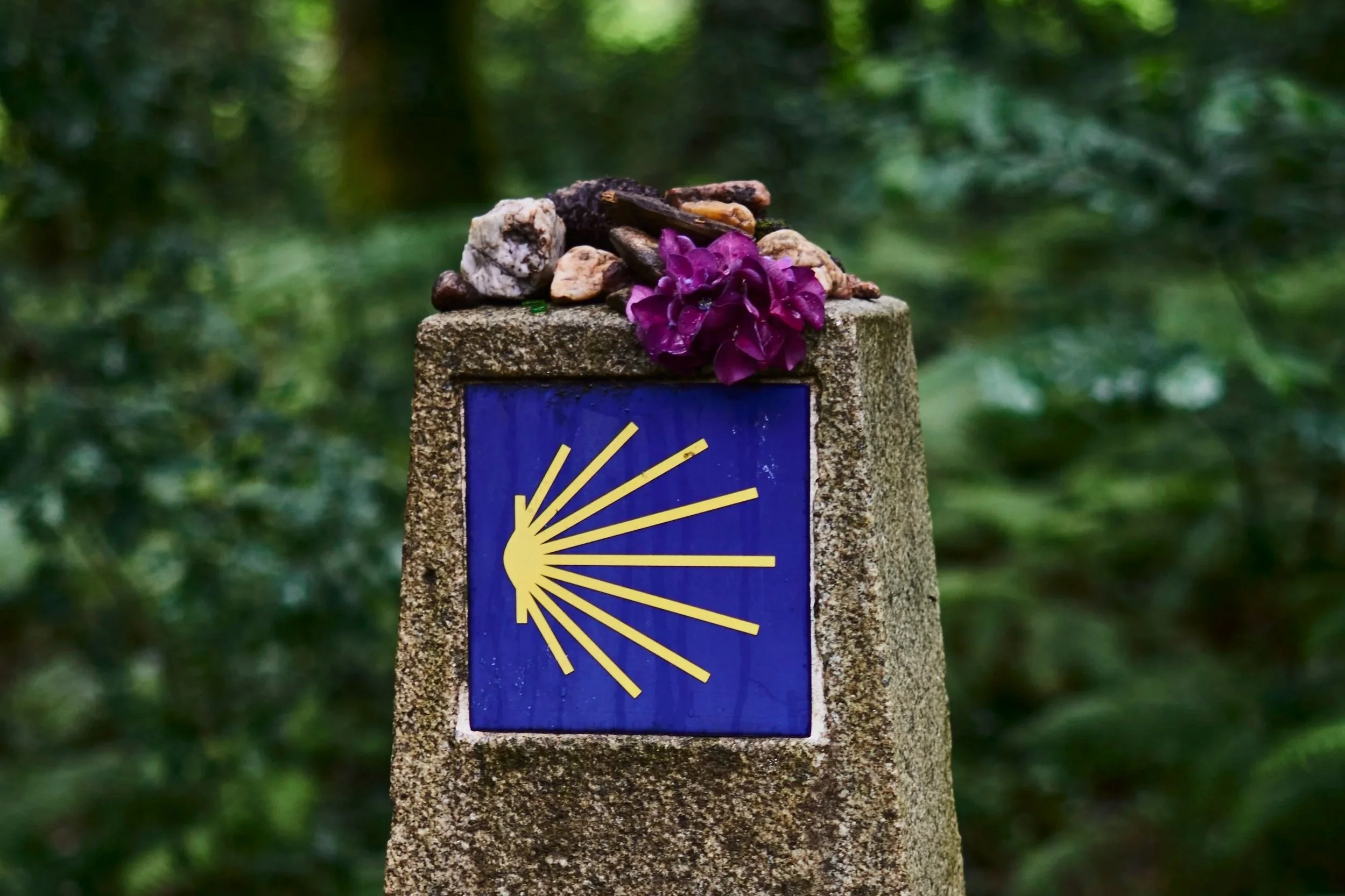 Rostros Do Camino