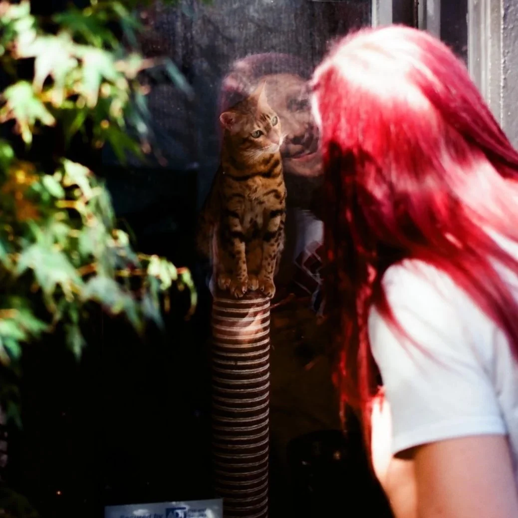 A woman with long red hair looking at a cat inside a window, with greenery on the left side.