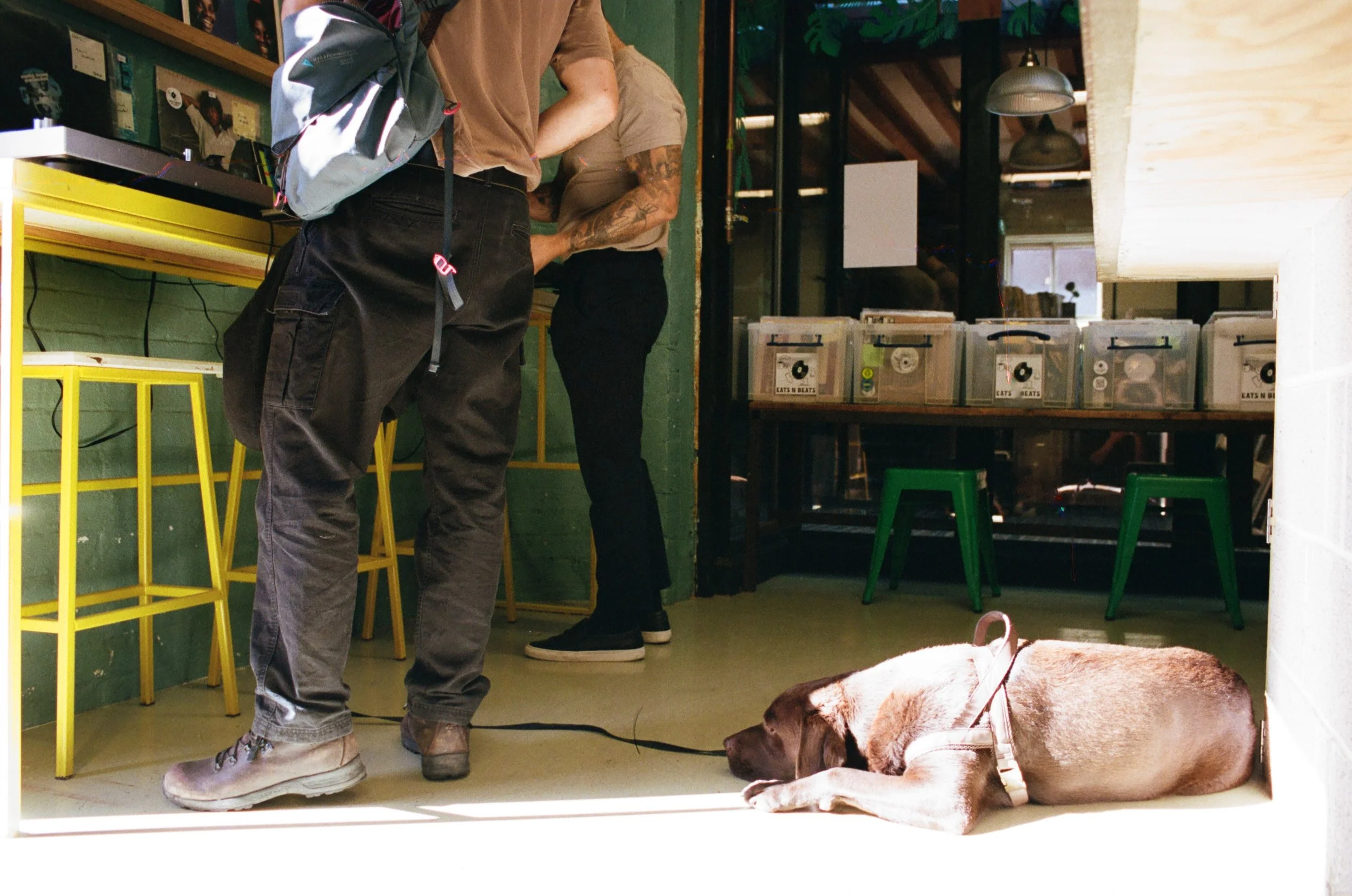Dog resting on the floor beside two people inside a record shop with vinyl storage bins. Photo by Shahab Notghi.