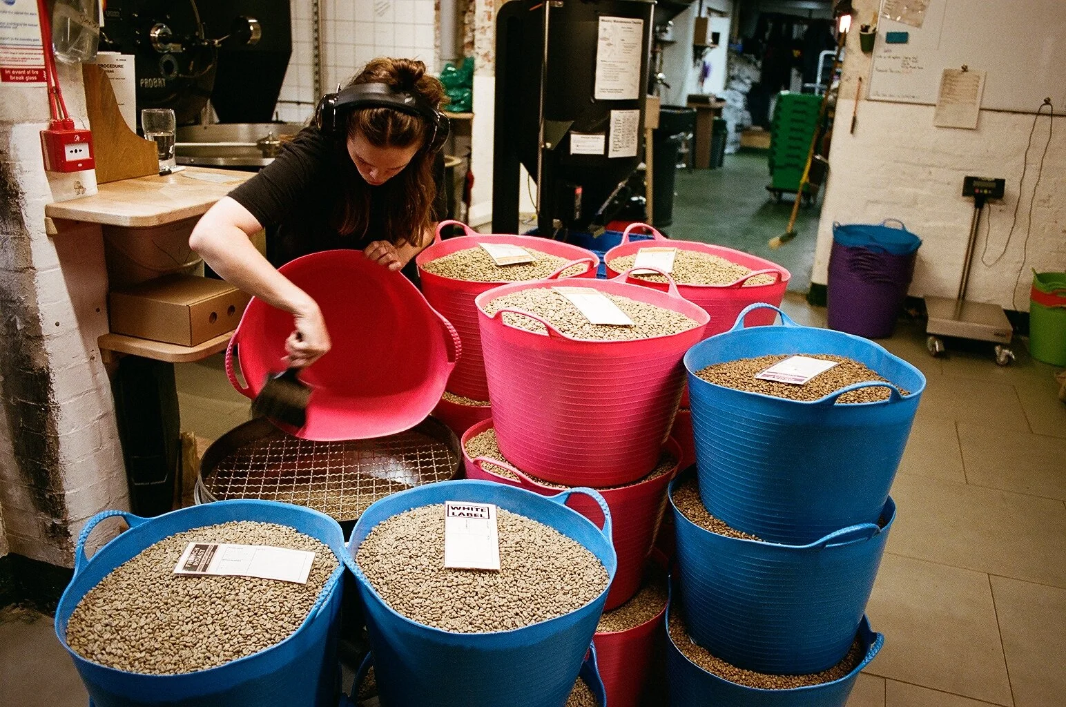 Coffee roastery worker sorting green coffee beans into colourful tubs before roasting. Photo by Shahab Notghi.