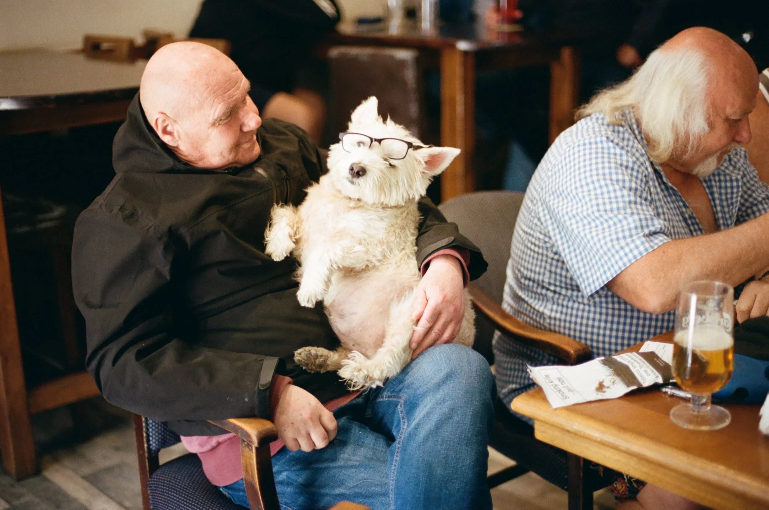 An elderly man with a bald head and a woman with long white hair are sitting at a dining table in a restaurant, enjoying a meal. The man is holding a small, white dog with glasses, who appears to be sleeping or resting comfortably in his lap. The wom