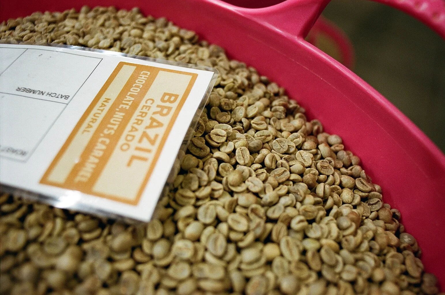 Close-up of unroasted Brazilian coffee beans in a pink tub with a Brazil coffee origin label. Photo by Shahab Notghi.
