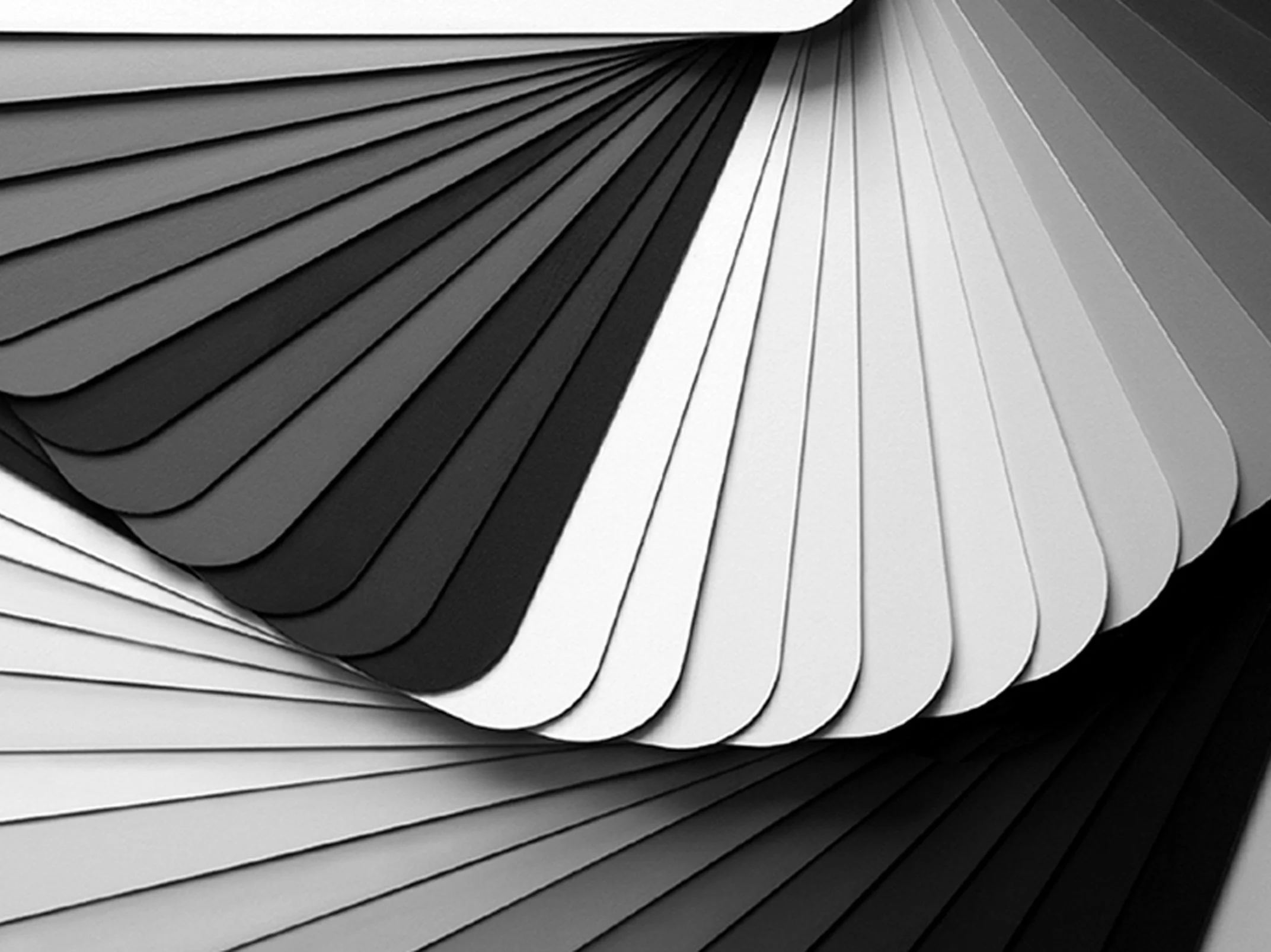 Benjamin Moore: Color