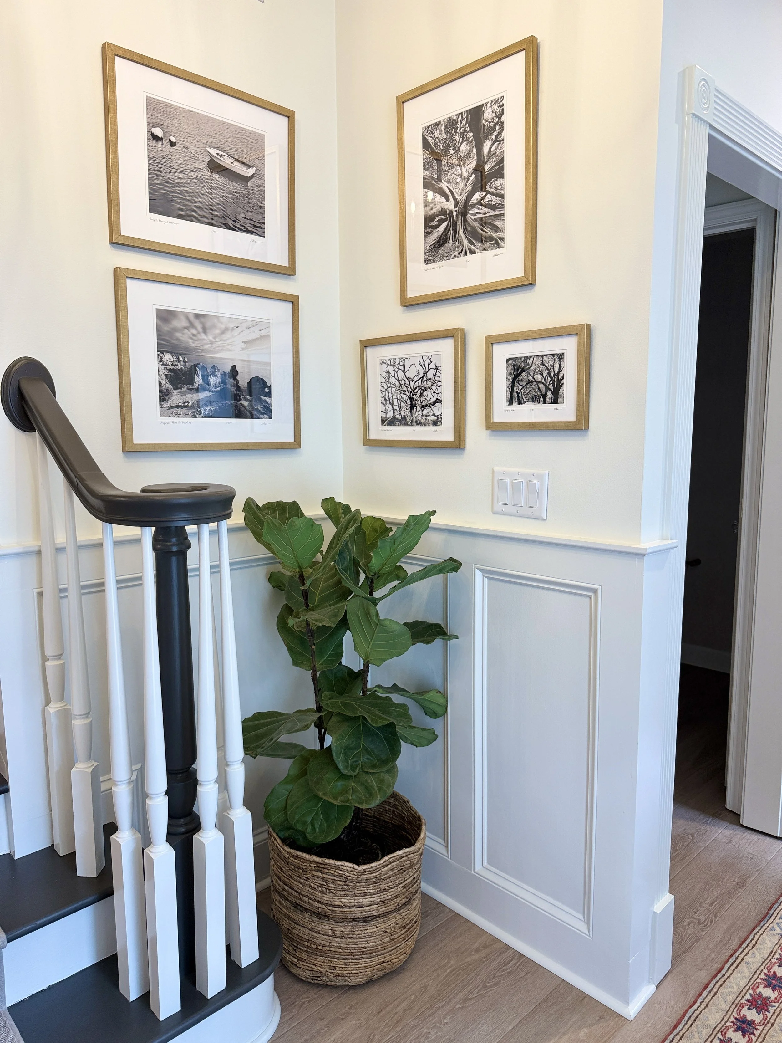 A corner of a room with light yellow walls, displaying five black-and-white framed photographs of trees and a boat, and a green houseplant in a woven basket, next to a staircase with white railings.