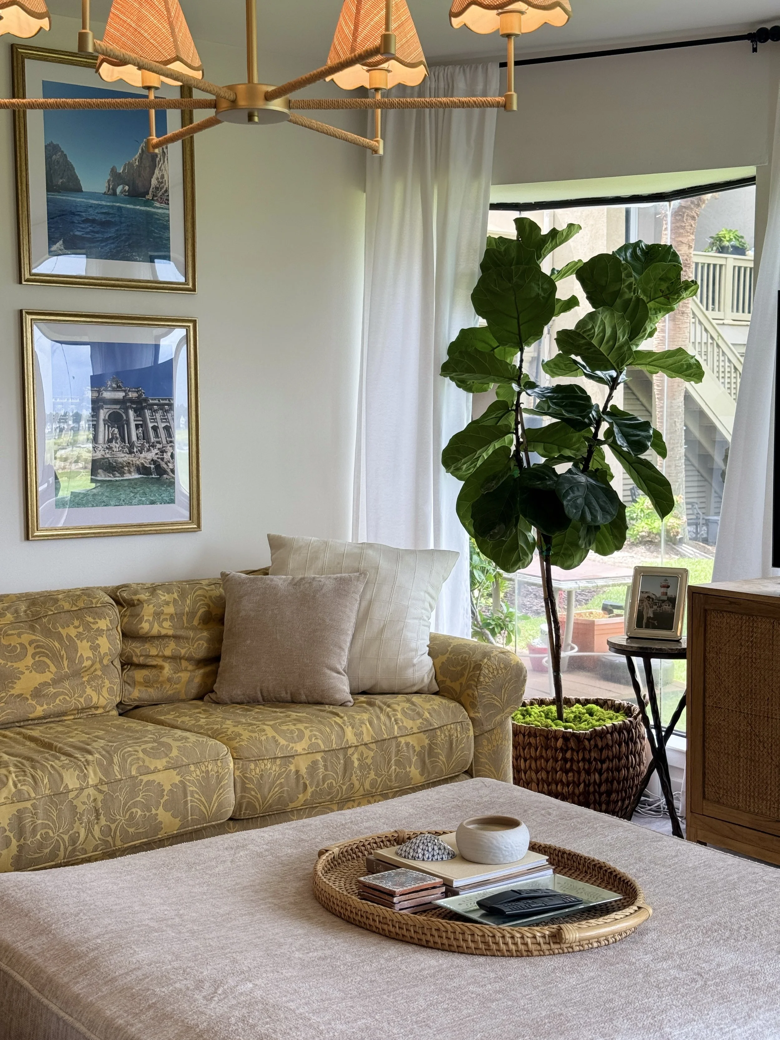 Living room with a yellow patterned sofa, beige pillows, a wicker tray on a beige ottoman with books, a remote, and decorative items, a large potted plant near the window, framed pictures on the wall, white curtains, a ceiling lamp with a wooden and 