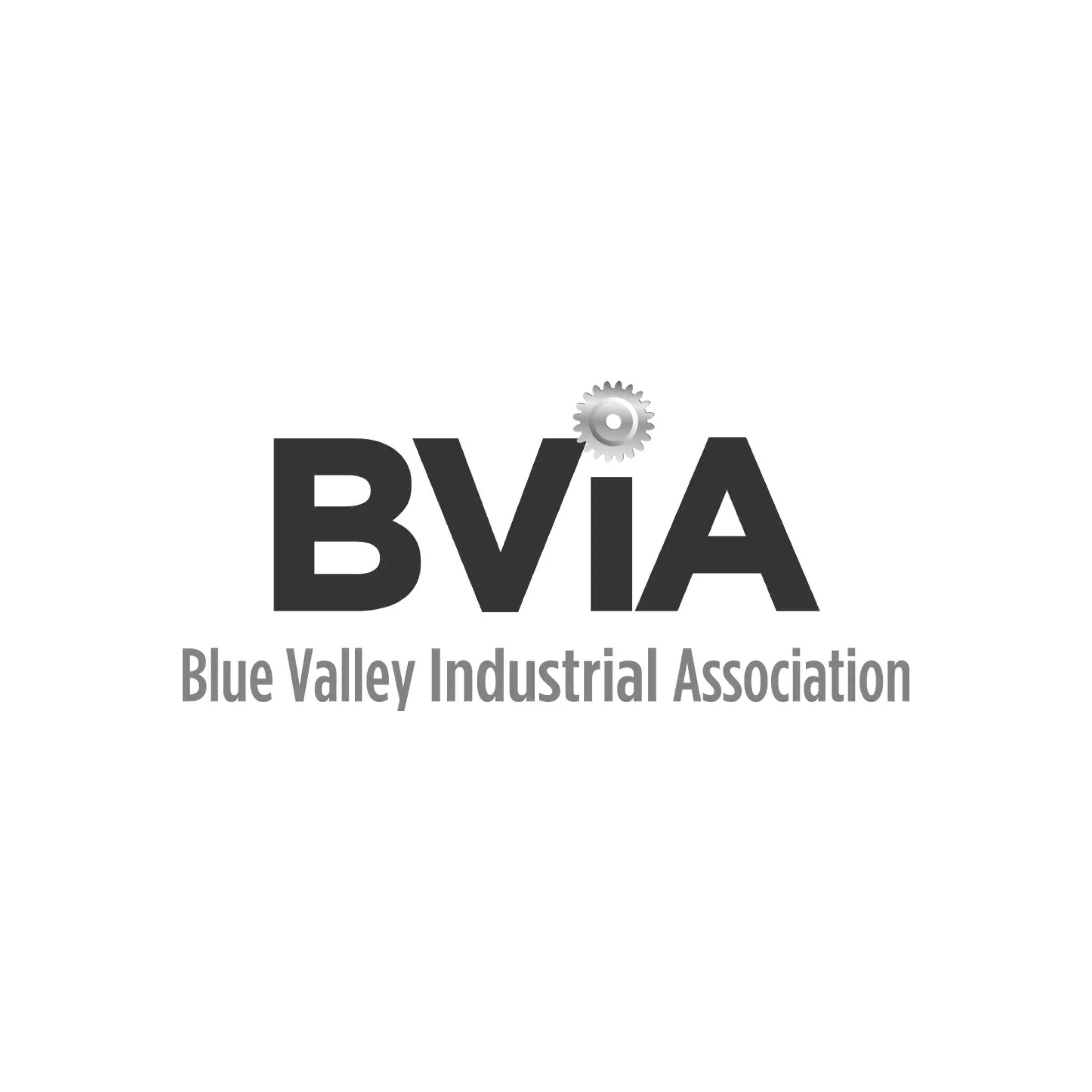 BVIA.jpg