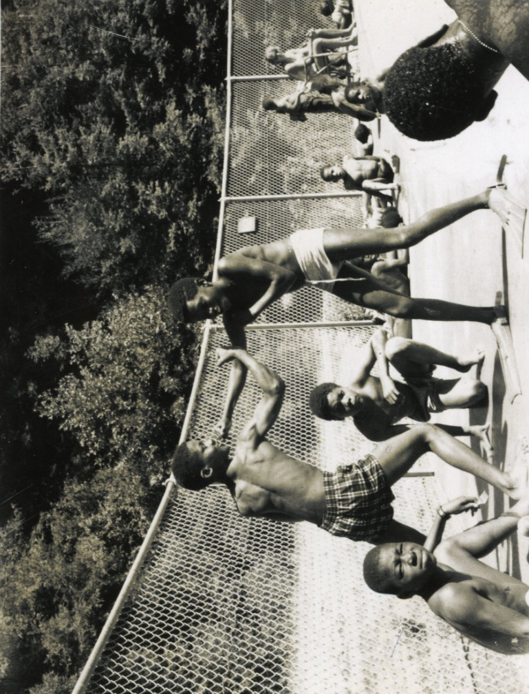 1950_ 2.png