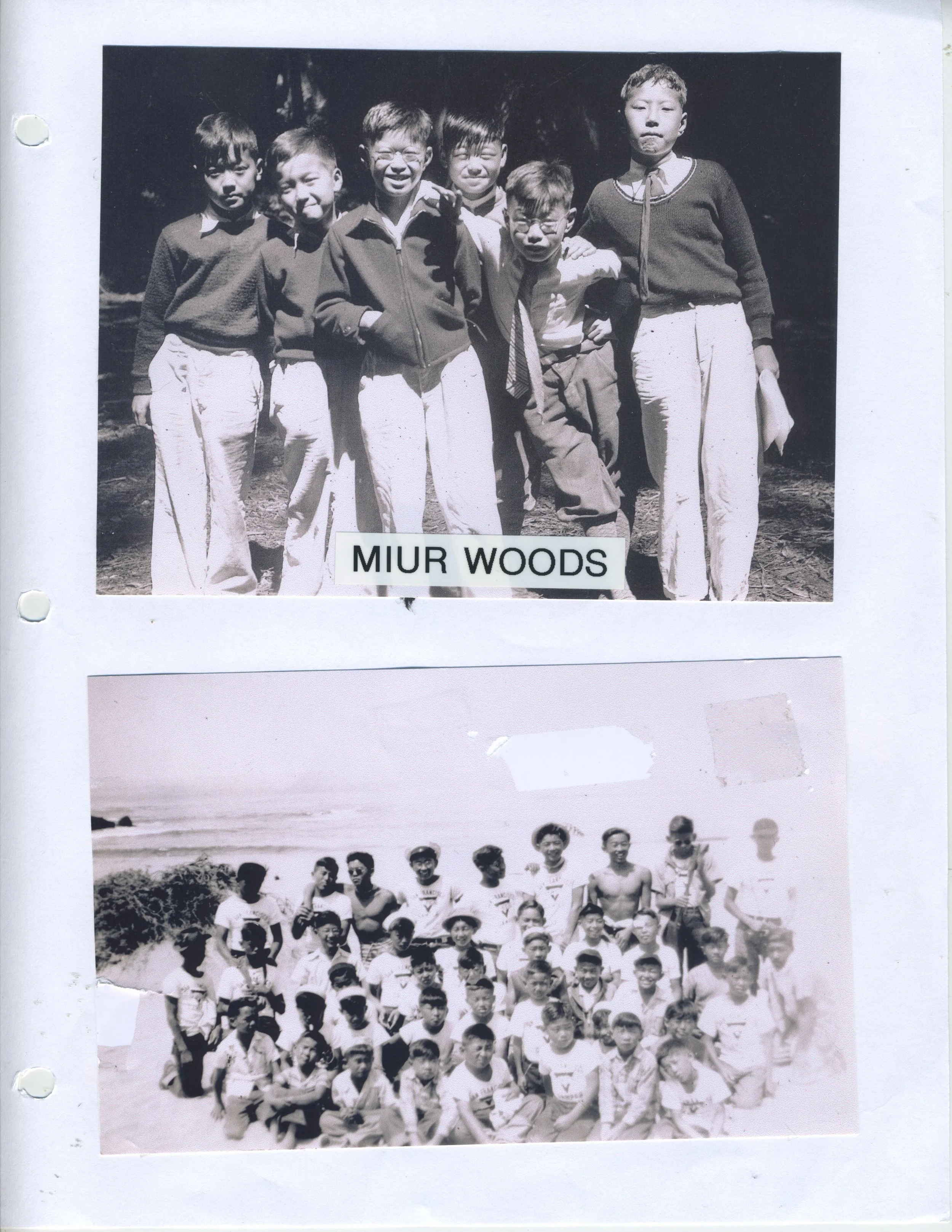 1930_MiurWoods_1.jpeg