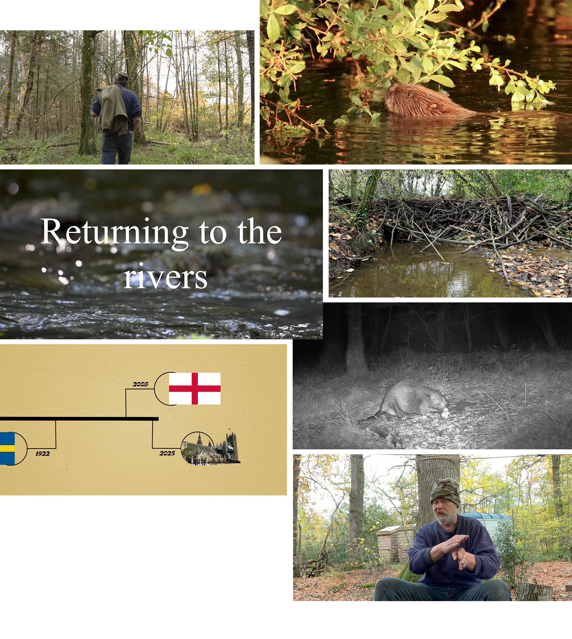 Collage of screenshots from film, including timeline, character interview, title screen and beaver footage
