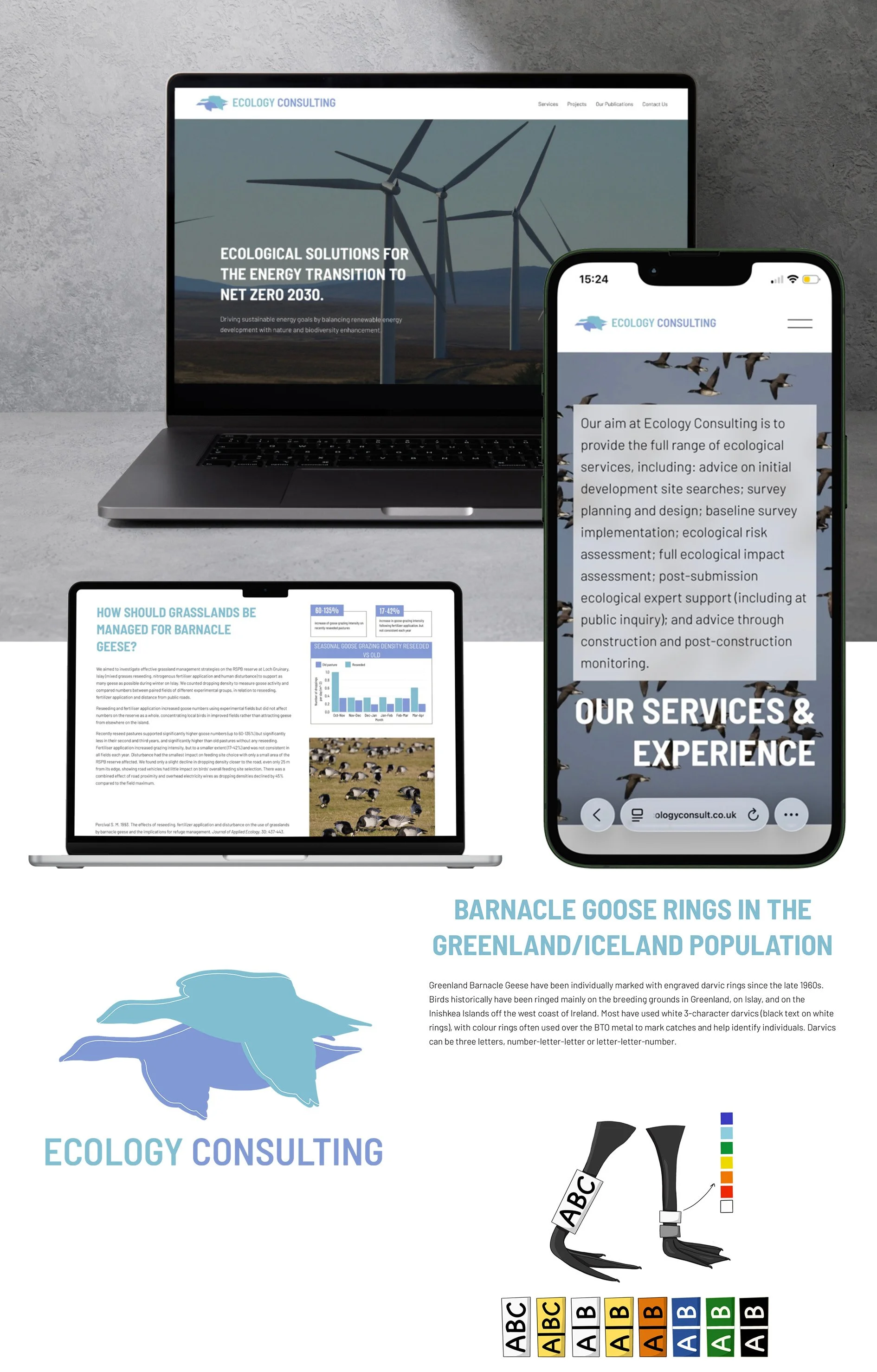 Collage of website segments, including laptop with homescreen, phone with services page, company logo, research paper summaries and illustration of barnacle goose ringing