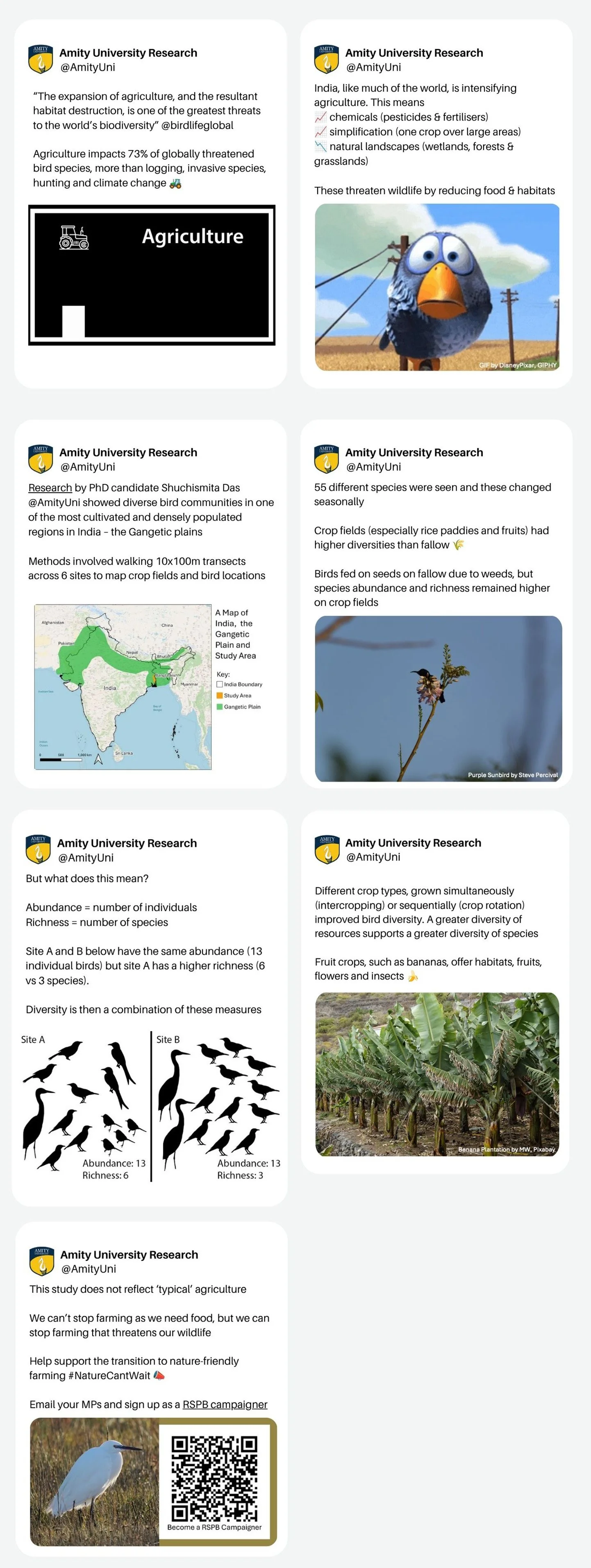 Full social media thread, including map of India, purple sunbird photo, banana plants, explainer illustration for diversity, GIF, voting sign up