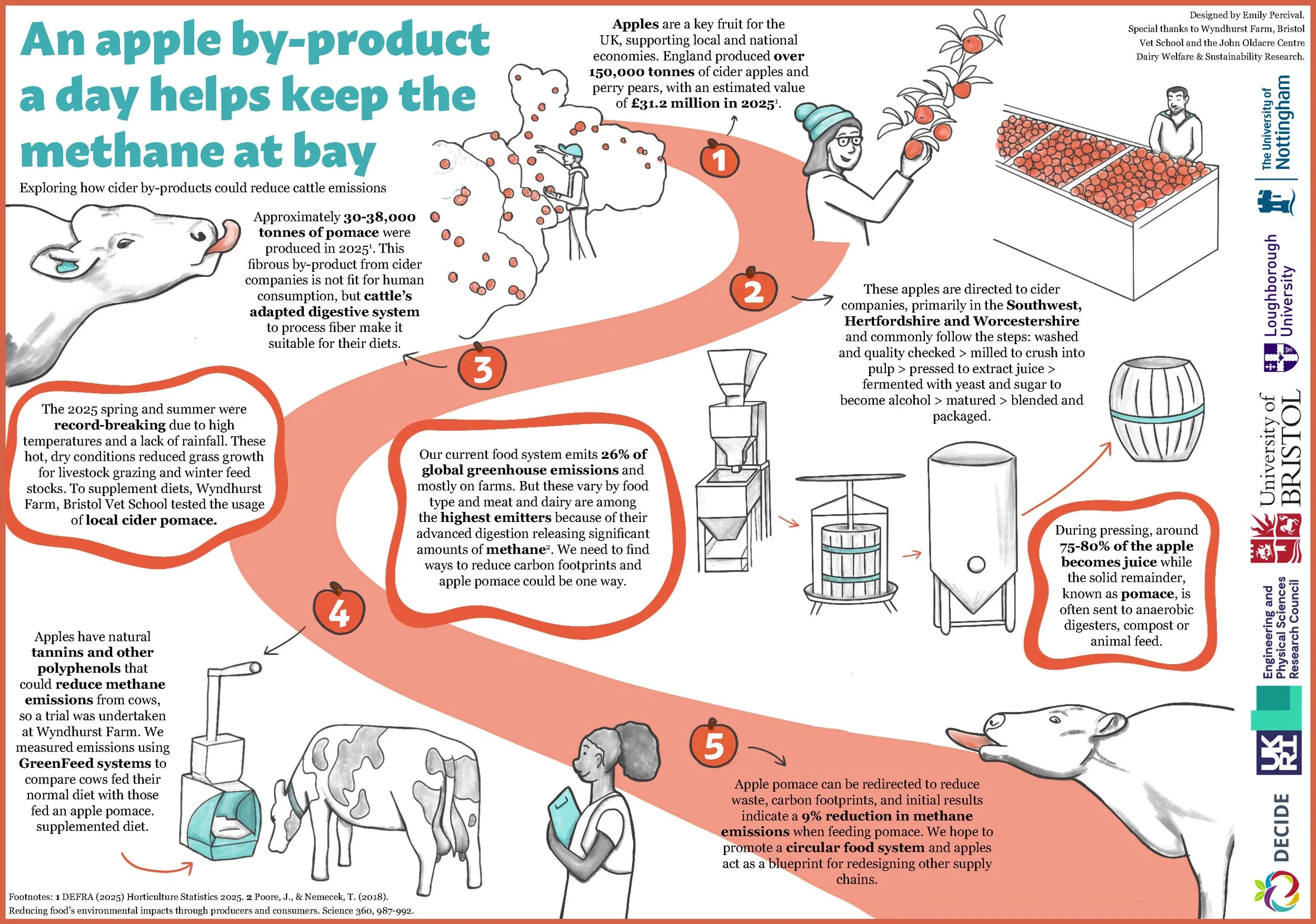 Infographic mapping journey of research and how apples used in cider industry produce pomace by-product and can be used to supplement cattle diets