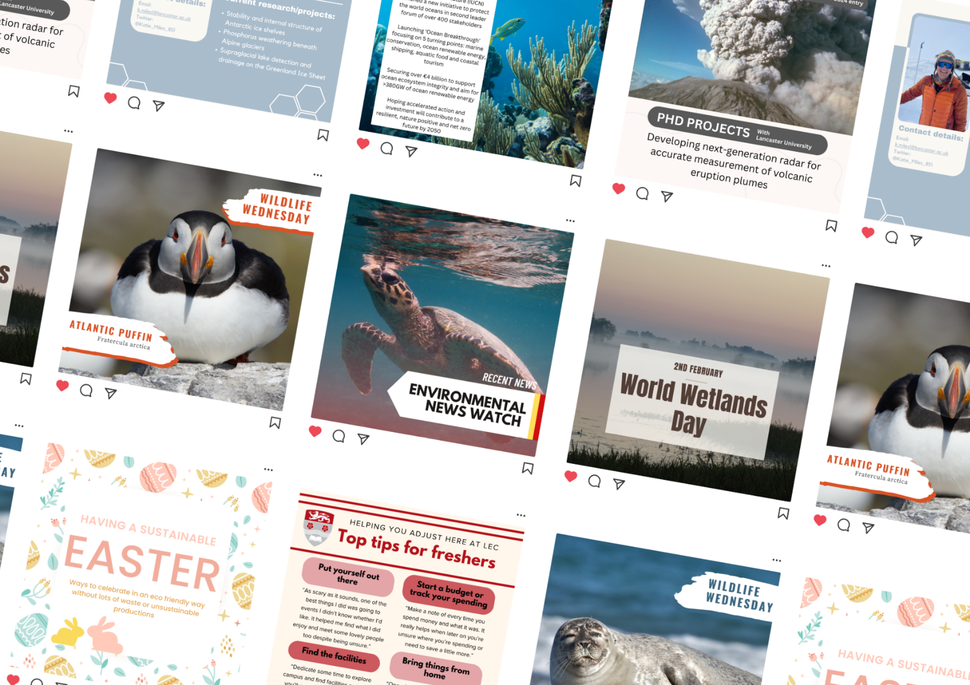 Collage of social media posts for Lancaster Environment Centre
