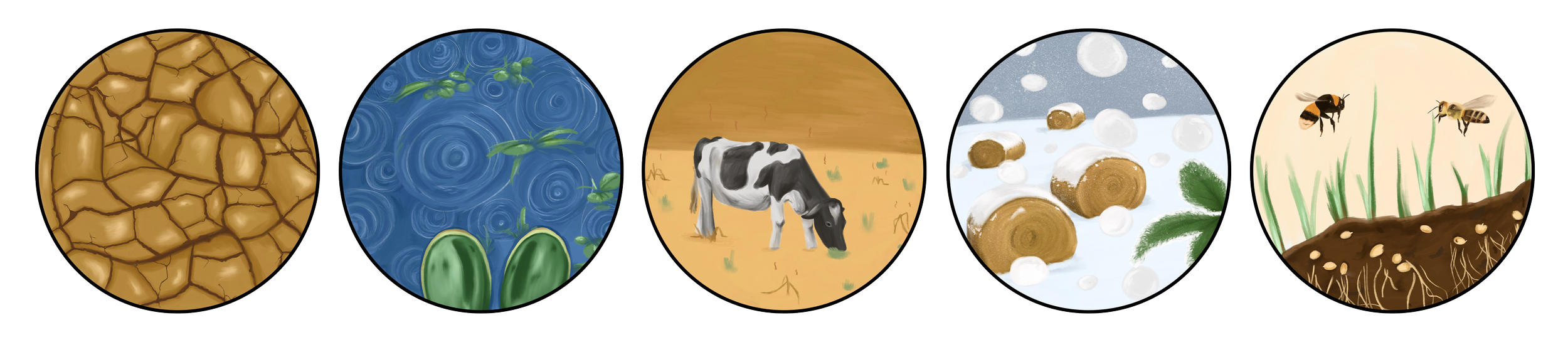 5 illustrations for each imapt category (drought, wet conditions, higher temperatures, fewer frost days and earlier spring