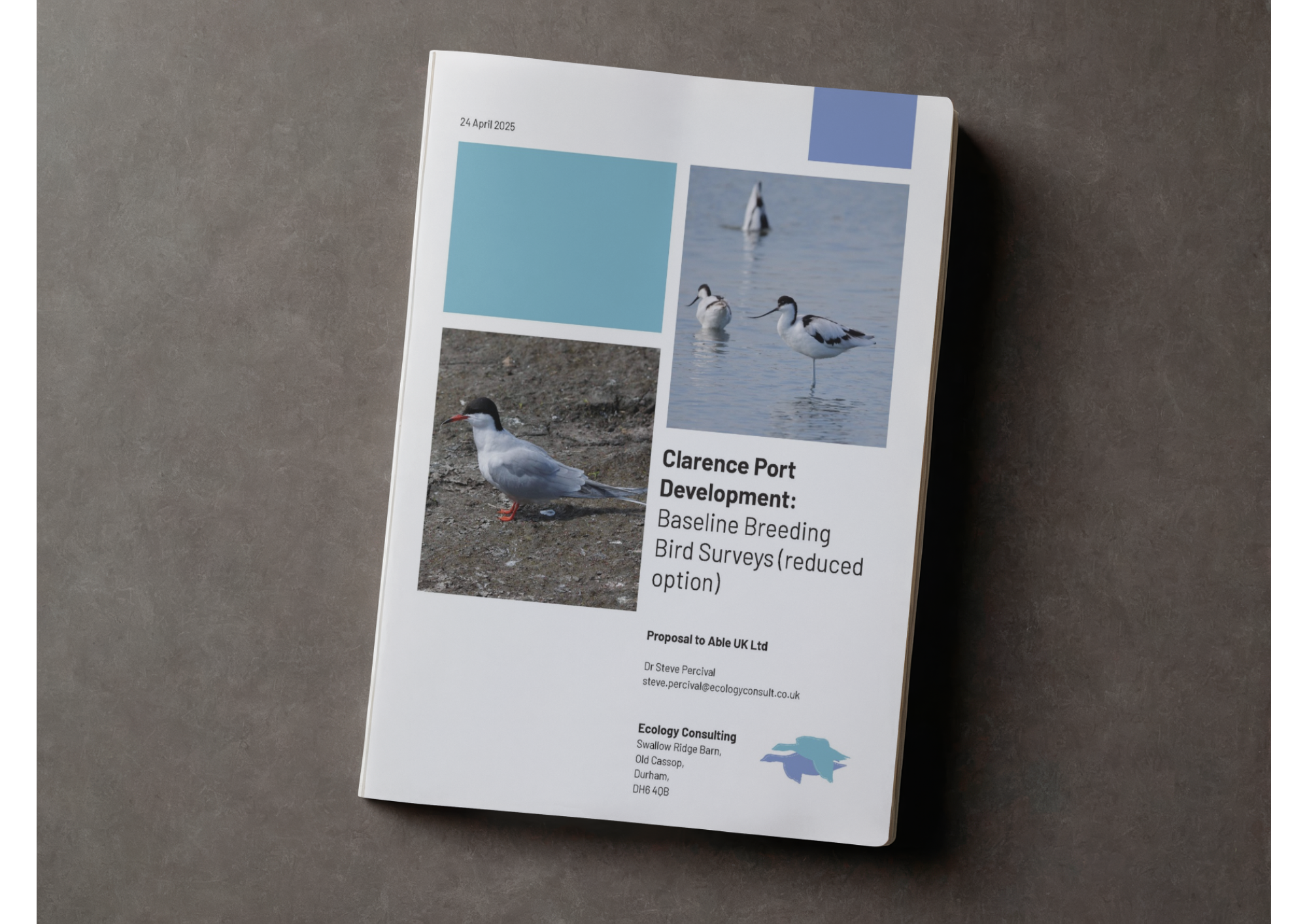 Mock up of Ecology Consulting printed report