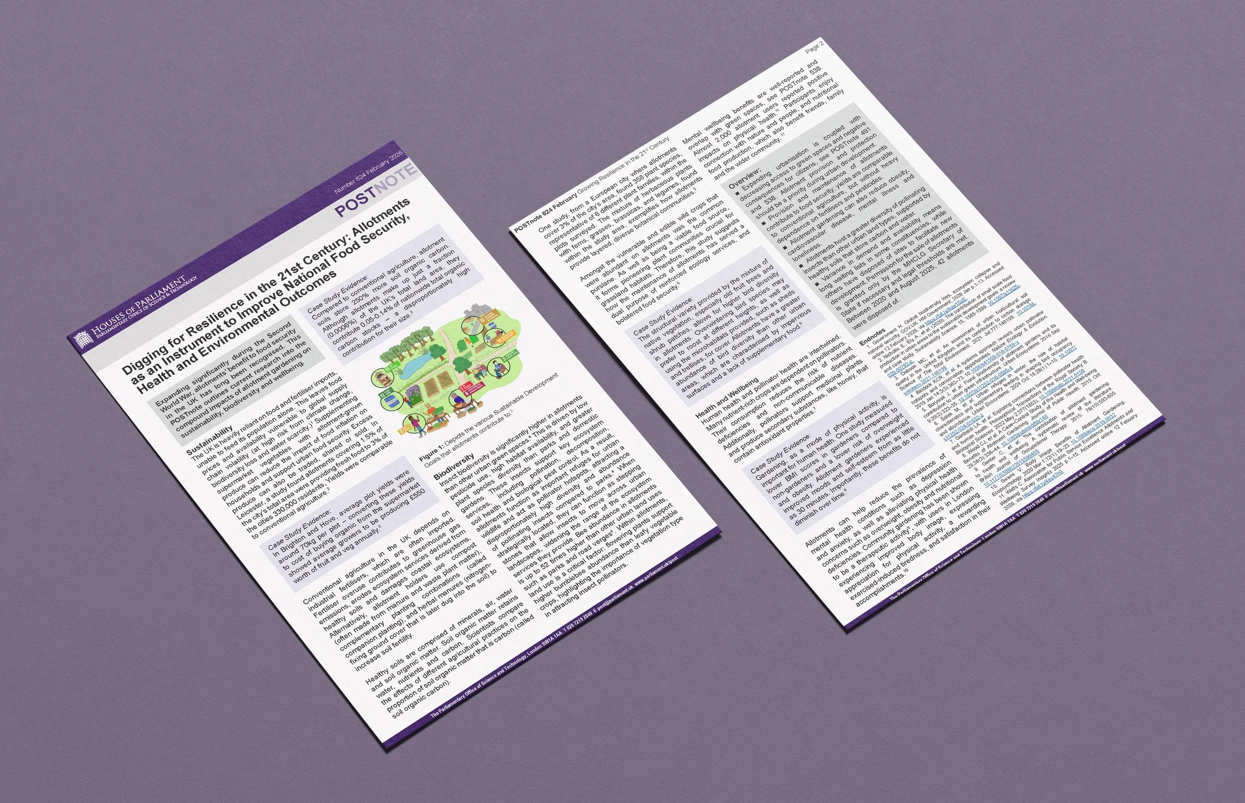 POSTnote covering benefits of allotments on health, wellbeing and the environment