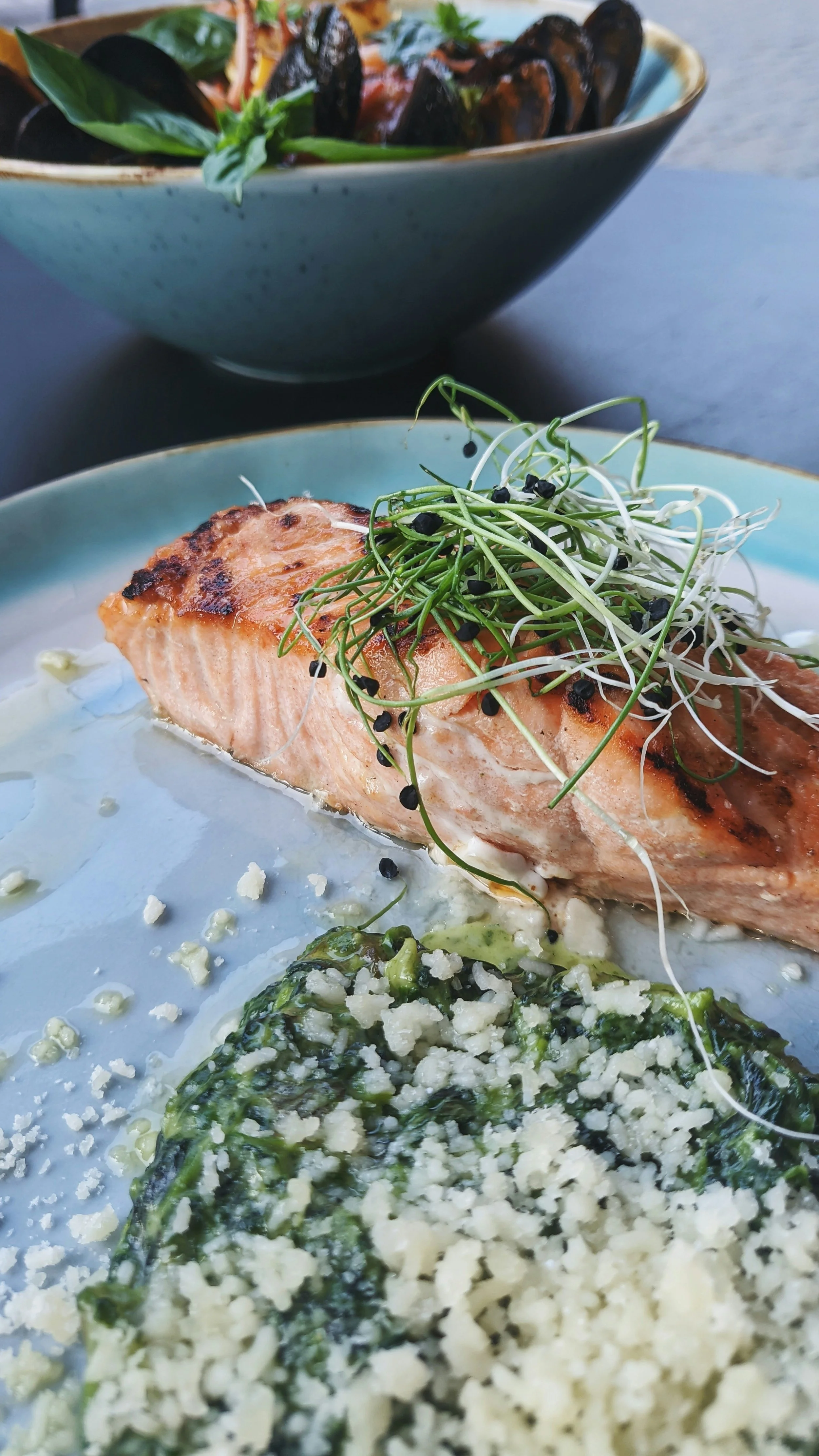 Close-up of a plated dish featuring cooked salmon topped with microgreens, alongside a bed of cooked greens sprinkled with cheese, served on a light blue plate. In the background, there is a bowl with pasta and tomato sauce garnished with fresh basil