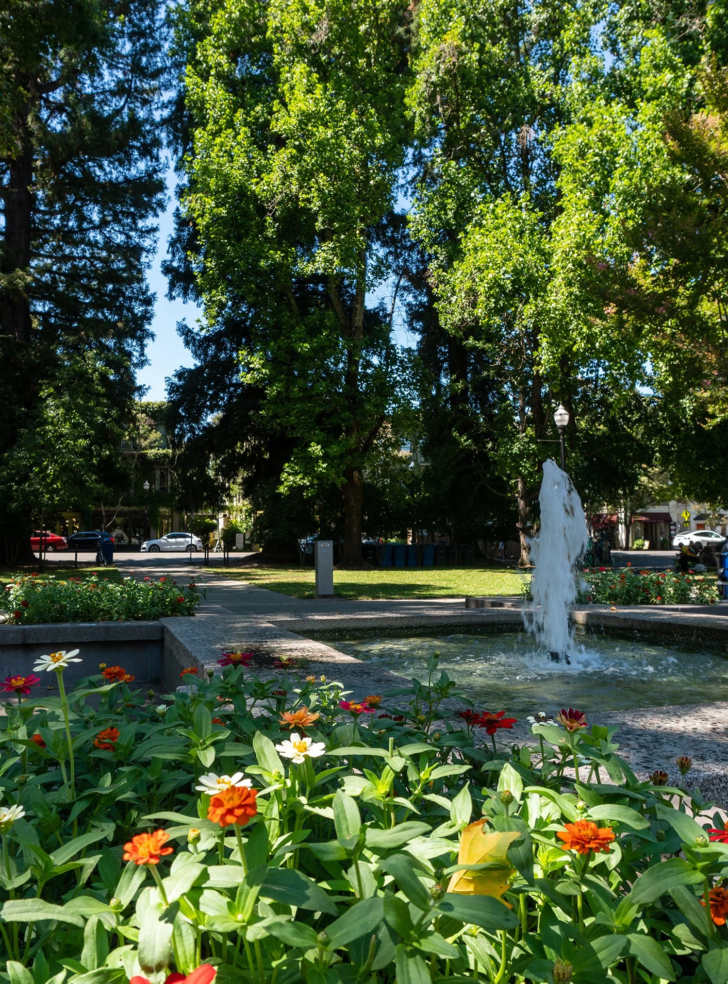 Park in downtown Healdsburg