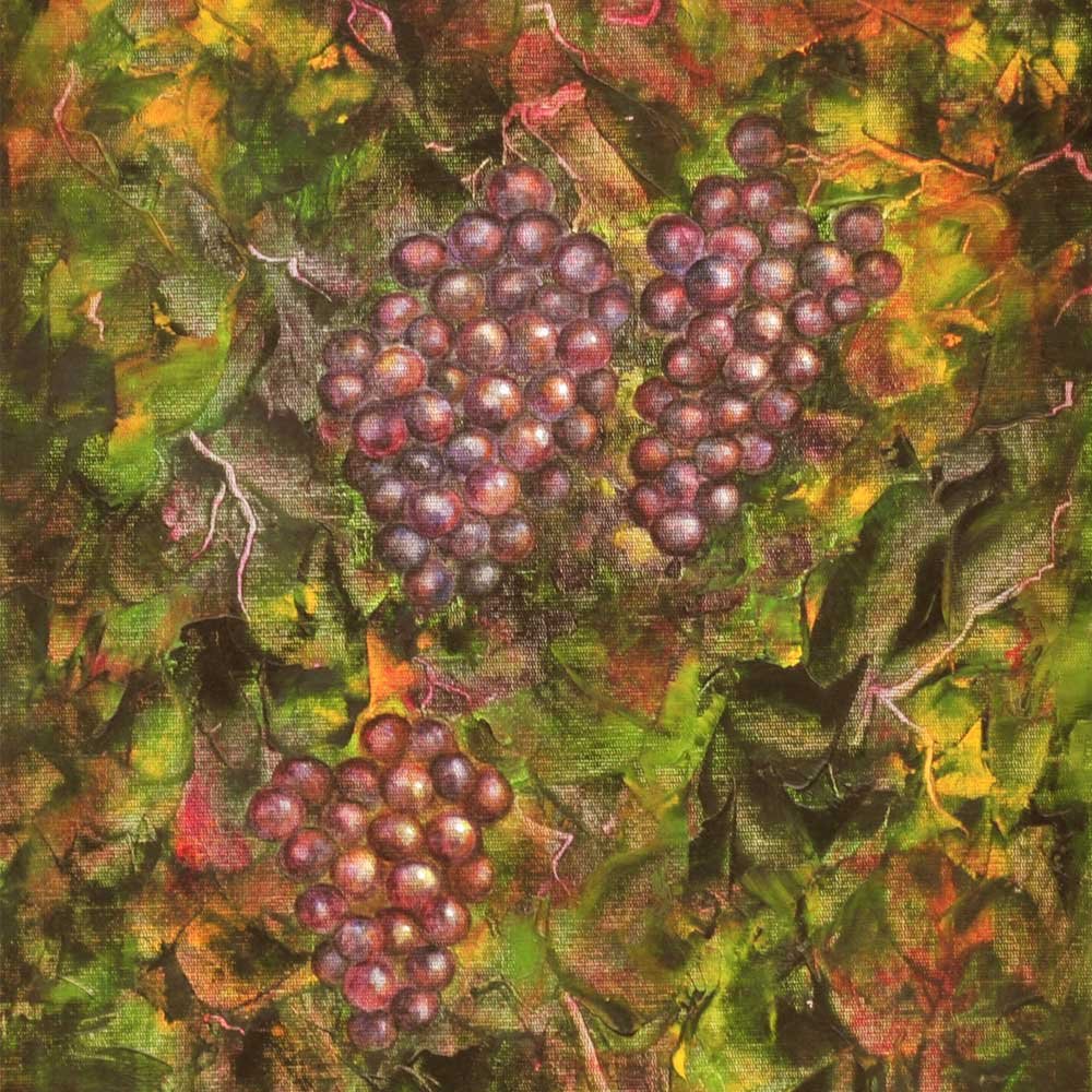 fine-vines.jpg