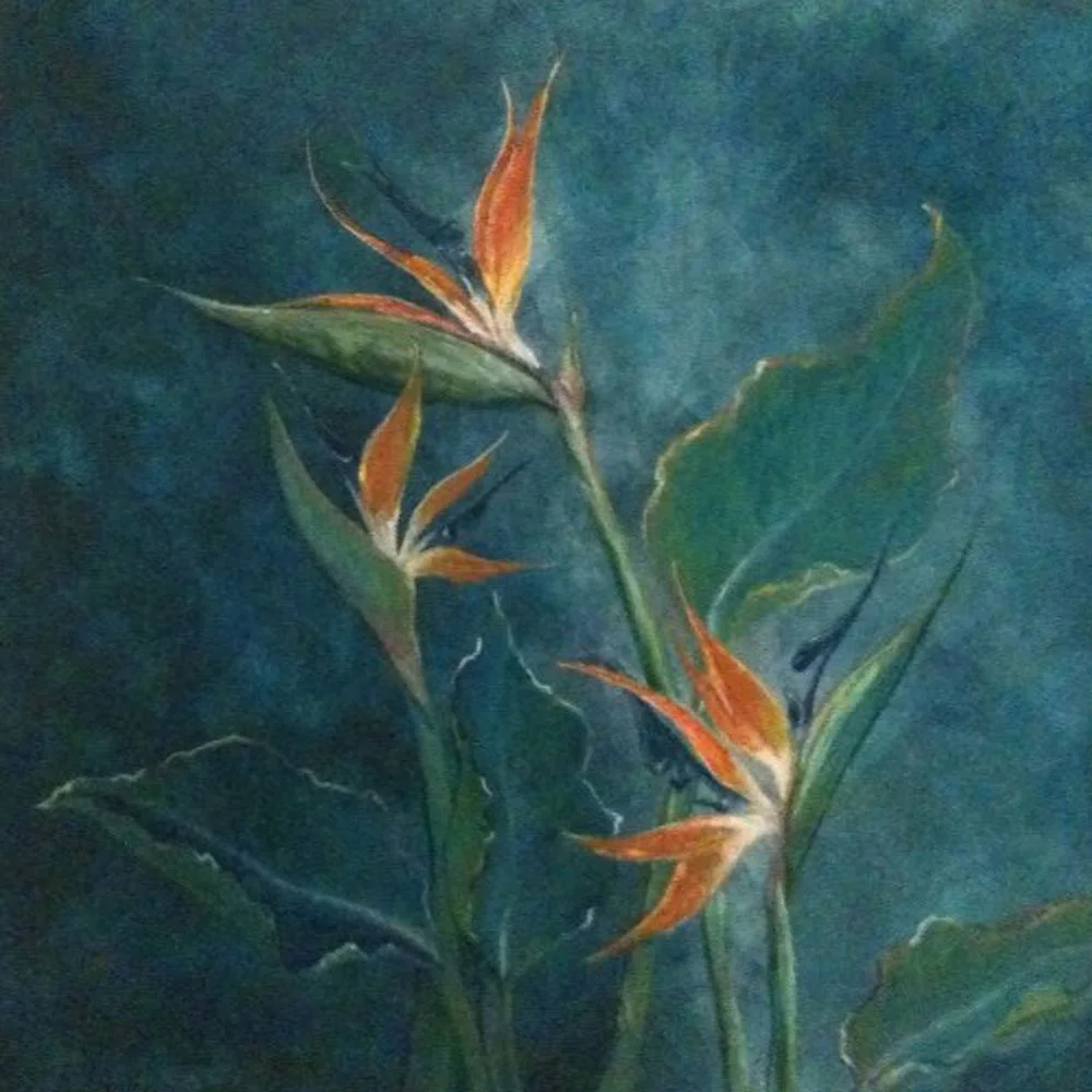 My-bird-of-paradise.jpg