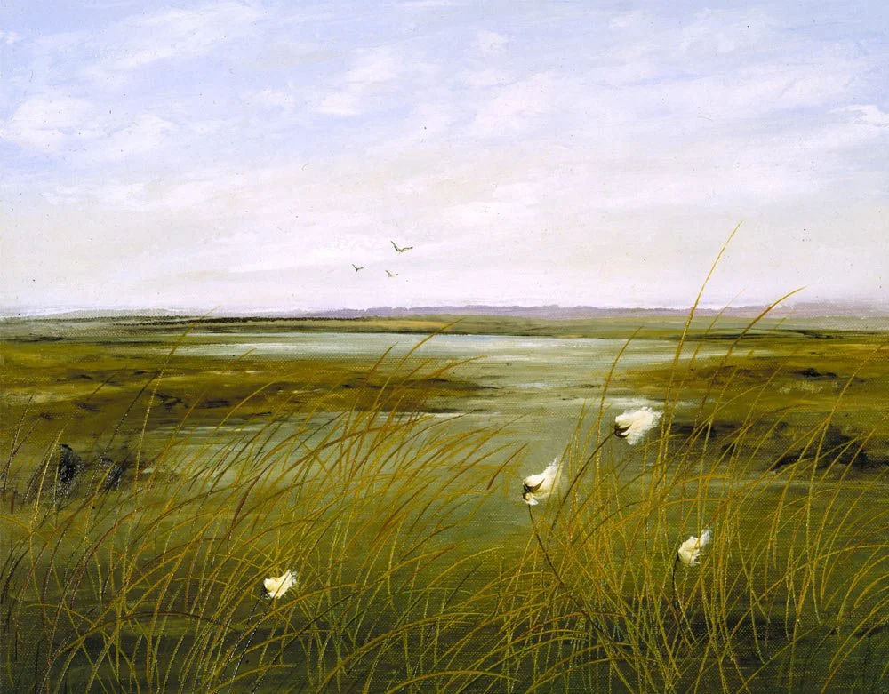 bog-cotton.jpg