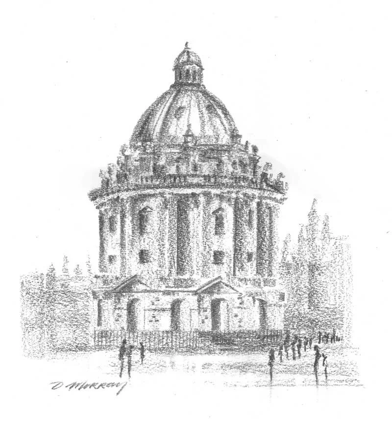 Olive-Sketch--Oxford-w.jpg