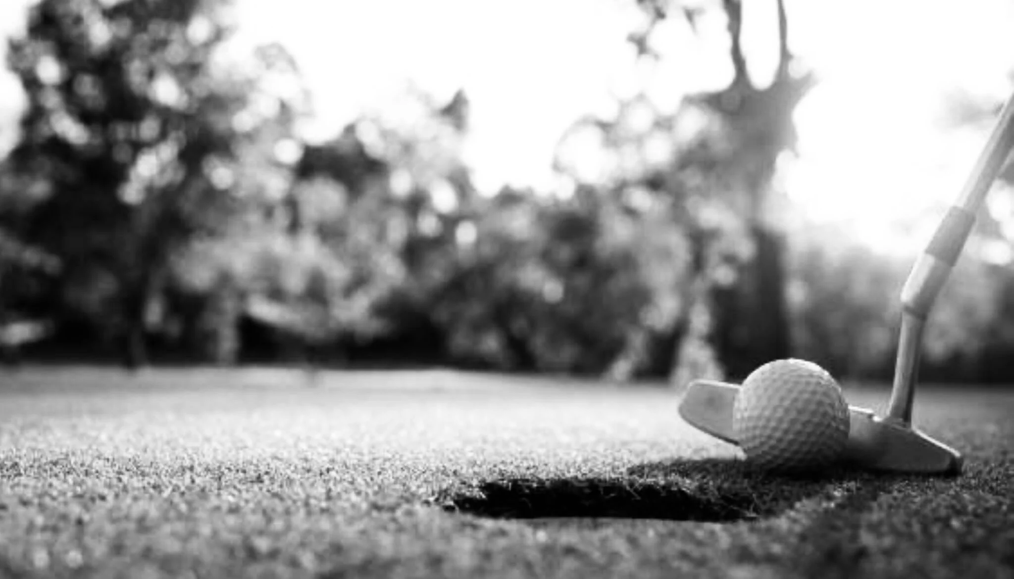 Golfers