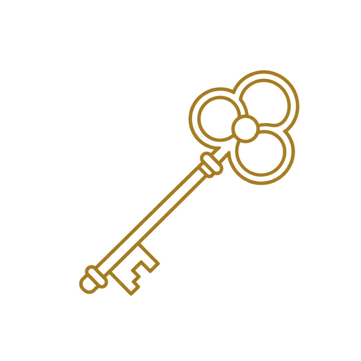A decorative vintage-style key with a round, floral-shaped bow and a long, slim shaft.
