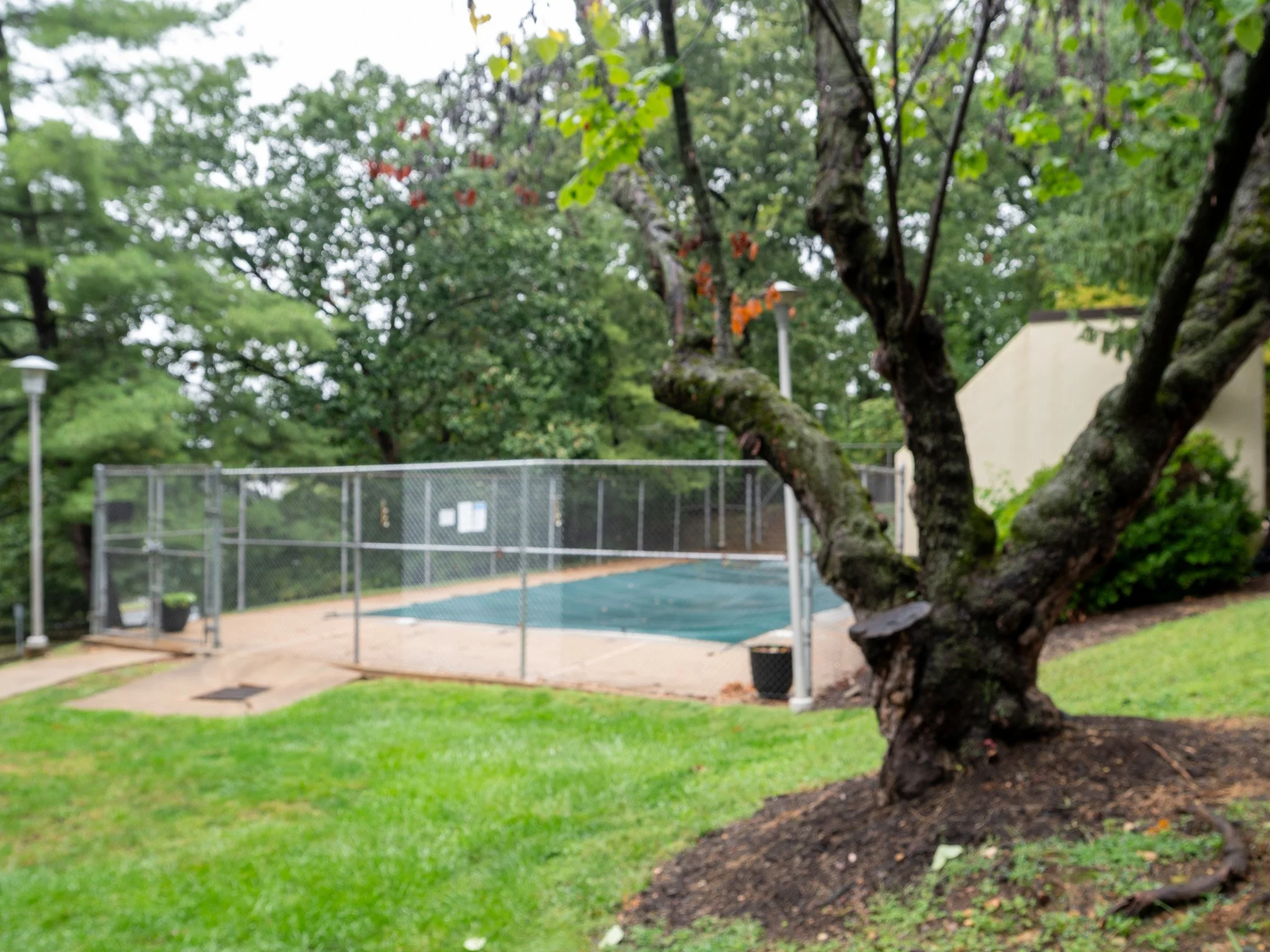 Pool_2.jpg