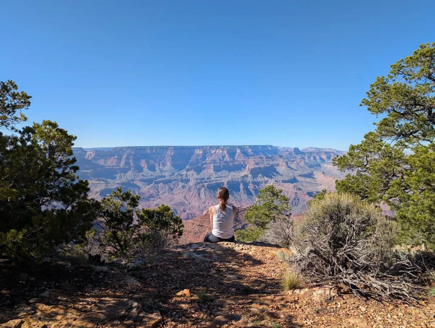 A woman sitting on a rocky ledge, looking out at the Grand Canyon with trees around her and a clear blue sky overhead.