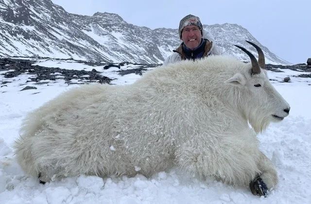 Hunter kneeling in the snow behind a large, Kodiak mountain goat. Guided by Jason Bunch of Kodiak Backcountry Adventures.  Backpack Kodiak Mountain Goat Hunt. 