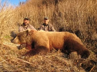 Two hunters posing behind a large bear lying on the ground in a grassy field. Kodiak Brown Bear Hunt guided by Jason Bunch of Kodiak Backcountry Adventures, LLC in remote Kodiak Island Alaska
