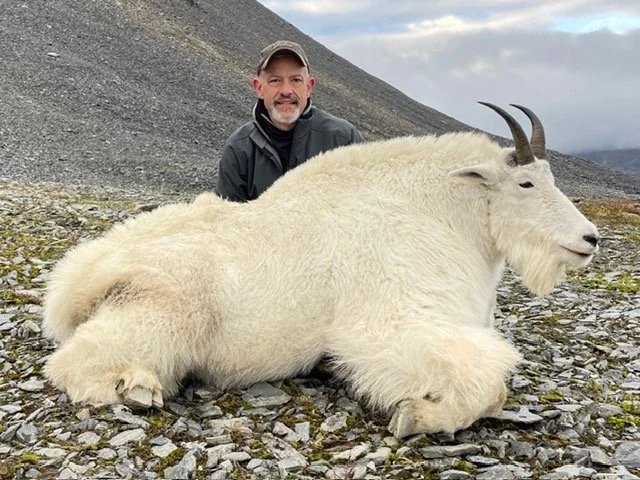 Man kneeling on rocky terrain behind a large, white mountain goat lying on the ground in a mountainous landscape.