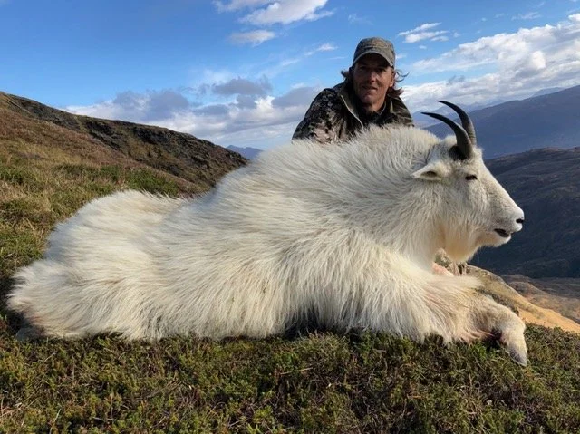 Kodiak mountain goat. Guided by Jason Bunch of Kodiak Backcountry Adventures. Backpack Kodiak Mountain Goat Hunt. 
