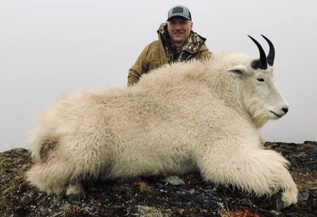 Guided by Jason Bunch of Kodiak Backcountry Adventures.  Backpack Kodiak Mountain Goat Hunt. 