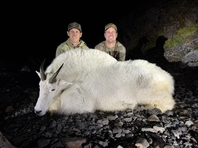 2026 Mountain Goat Kodiak Island Alaska